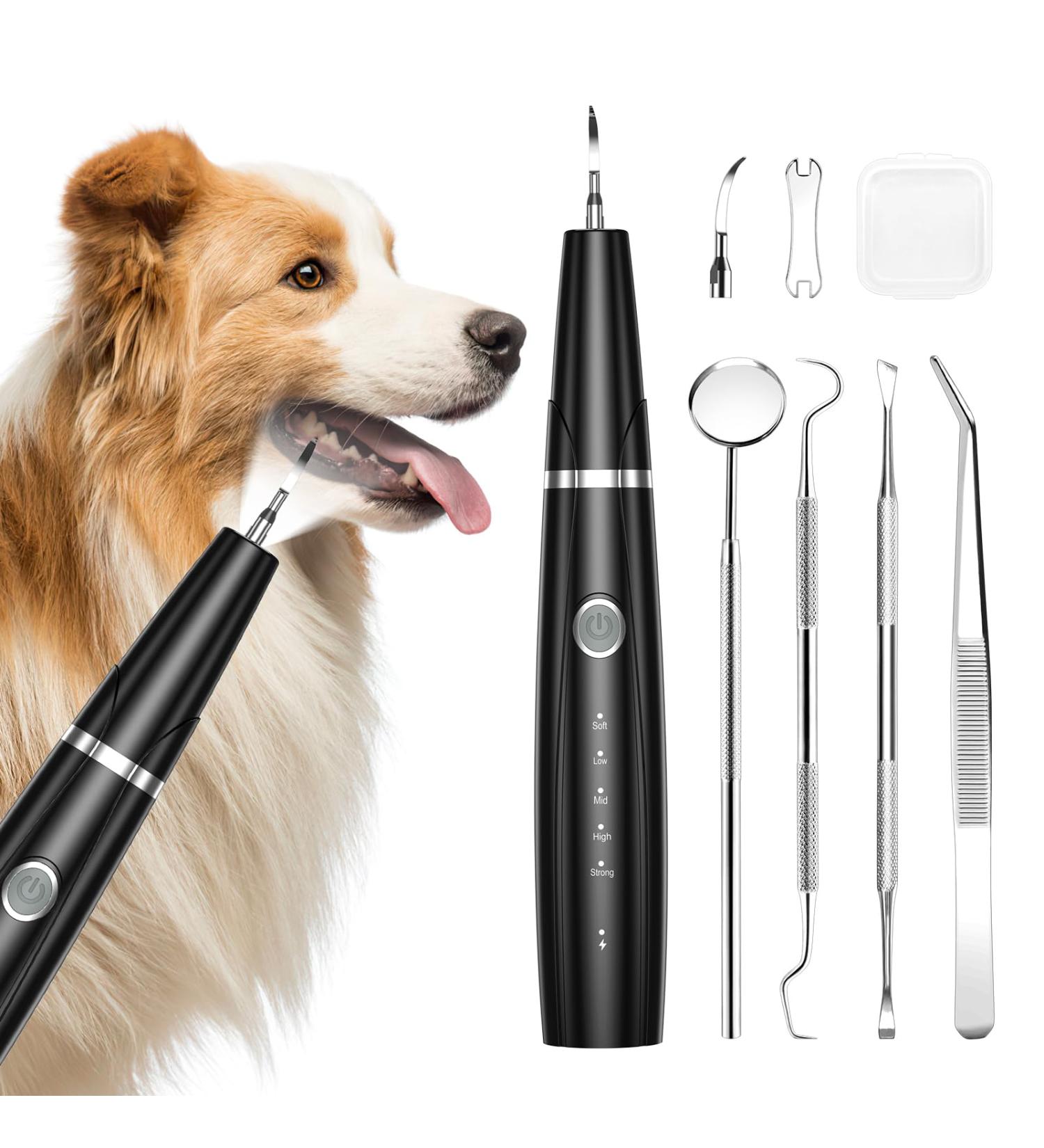 AMIR Dog Teeth Cleaning Kit 5 Modes Pet Ultrasonic Tooth Cleaner Dog Tooth Tartar Remover with USB Charging Automatic Identification of Gums Ipx6 Waterproof Dog Teeth Cleaning for Dogs and Cats - Buy Online on GoSupps.com