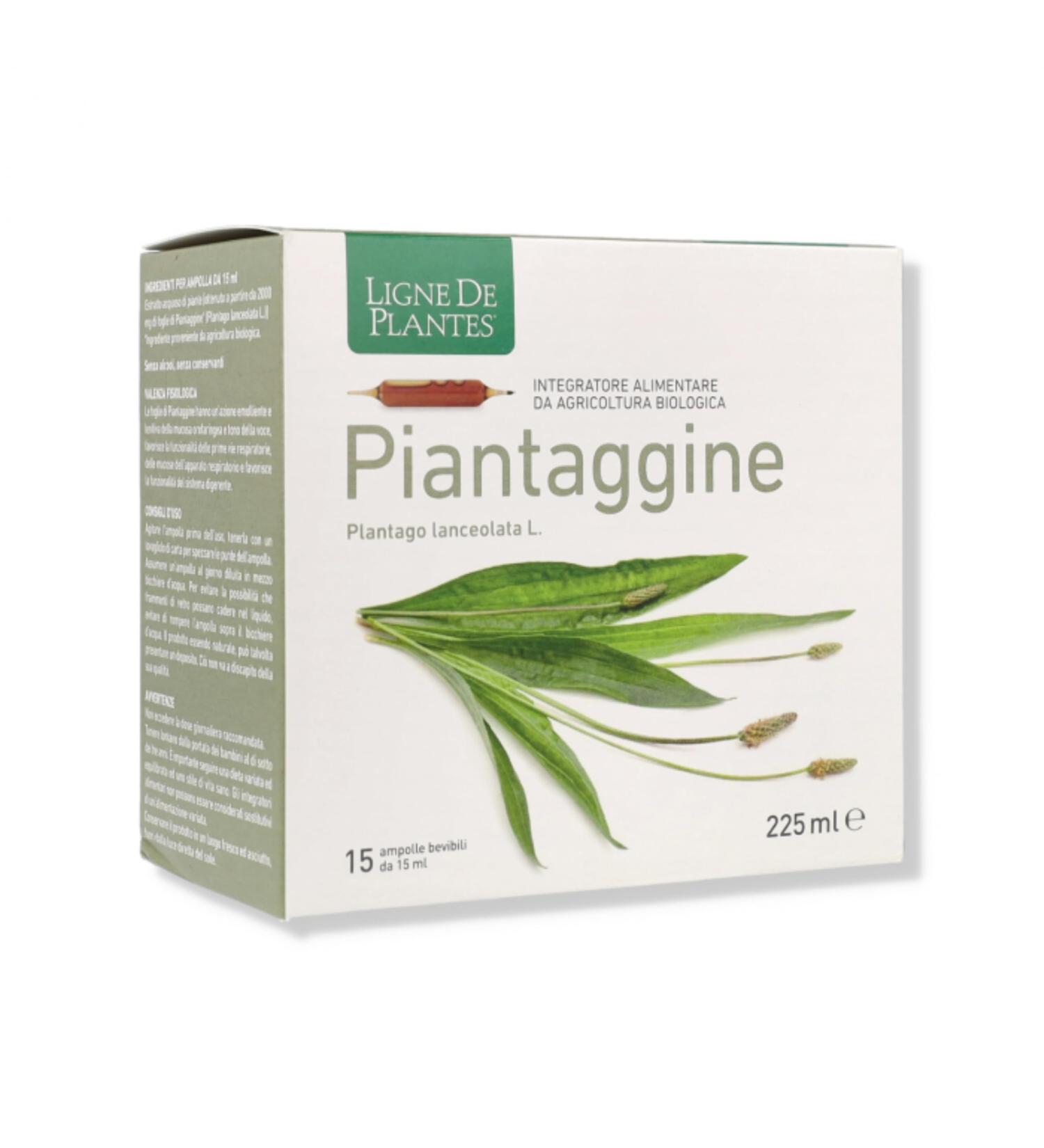 ligne de plantes Weegbree ampul 15 x 15 ml