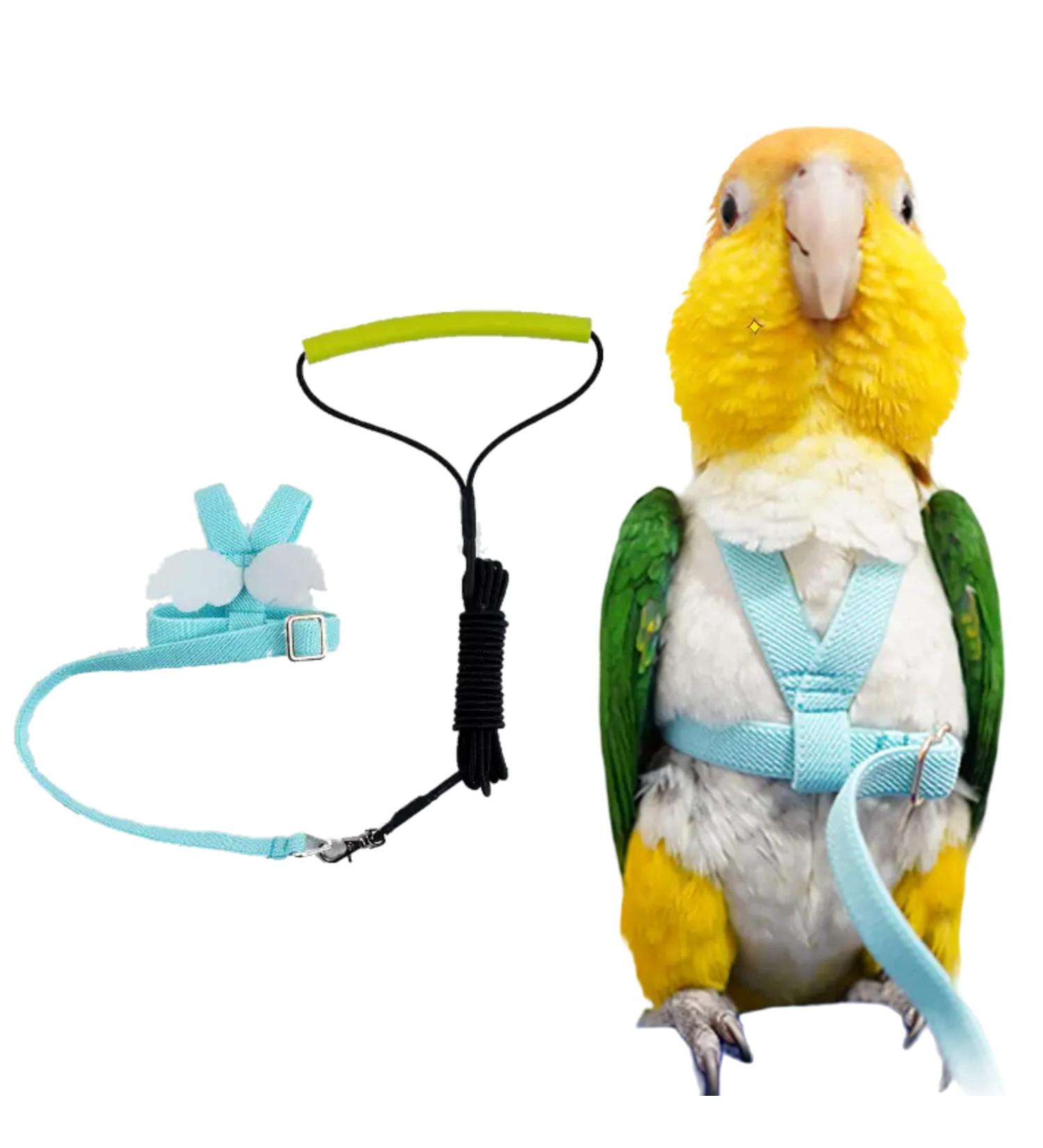 Adjustable Bird Harness Leash with Cute Wing for Parrots - L Blue - Buy Online on GoSupps.com