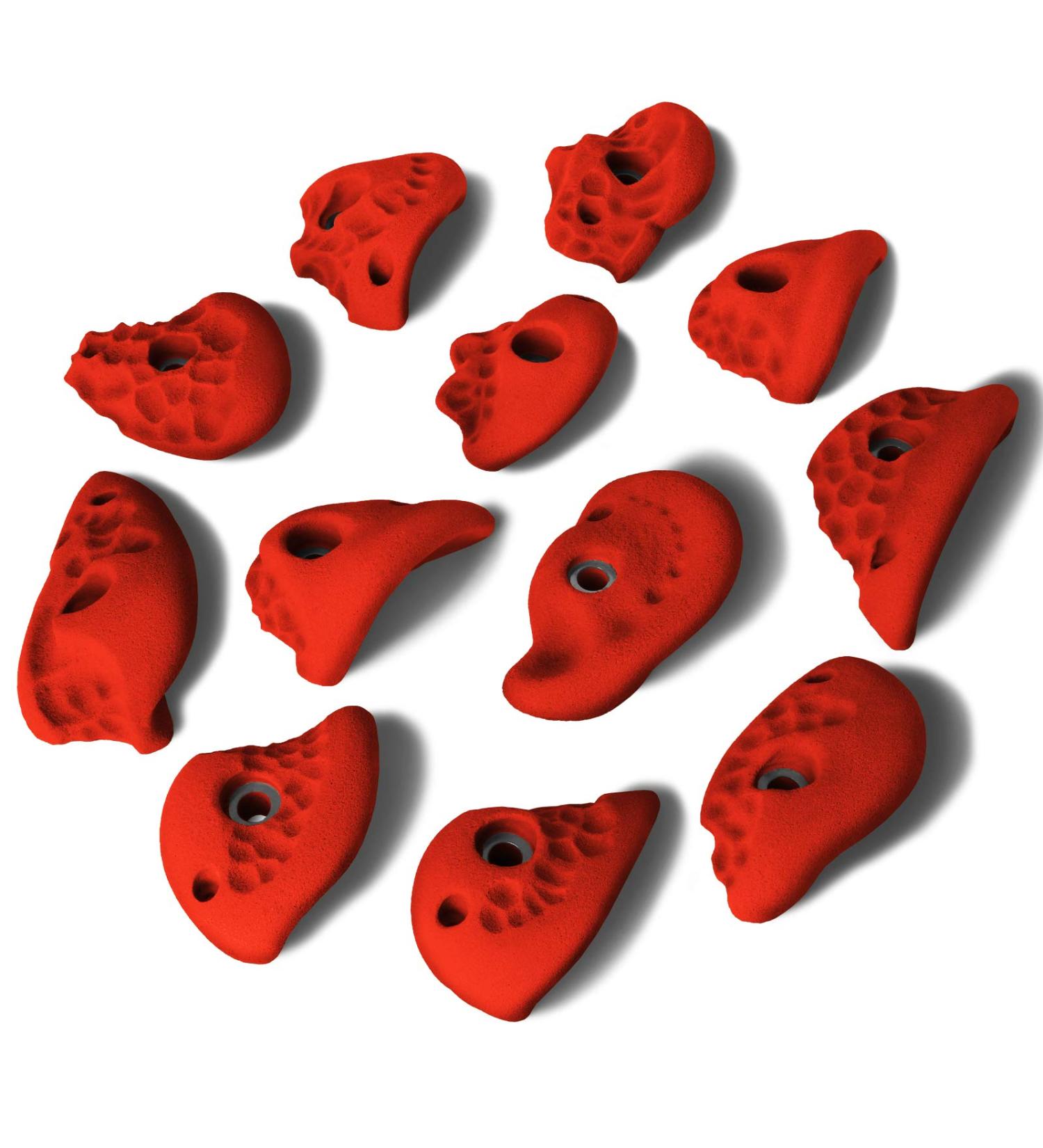 ALPIDEX 12 L Climbing grip set consisting of grips of different shapes in many colours - Buy Online on GoSupps.com
