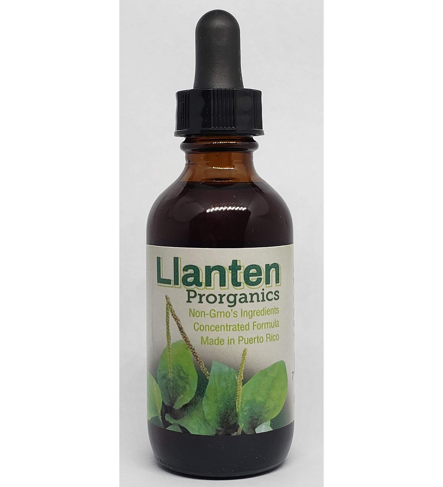 Plantain Llanten Mother Tincture Extract Organic (Plantago Major) Health Supplement Vegetable Glycerin Alcohol and Oil. (Vegetable Glycerin 1oz) Vegetable Glycerin 2 Fl Oz (Pack of 1)