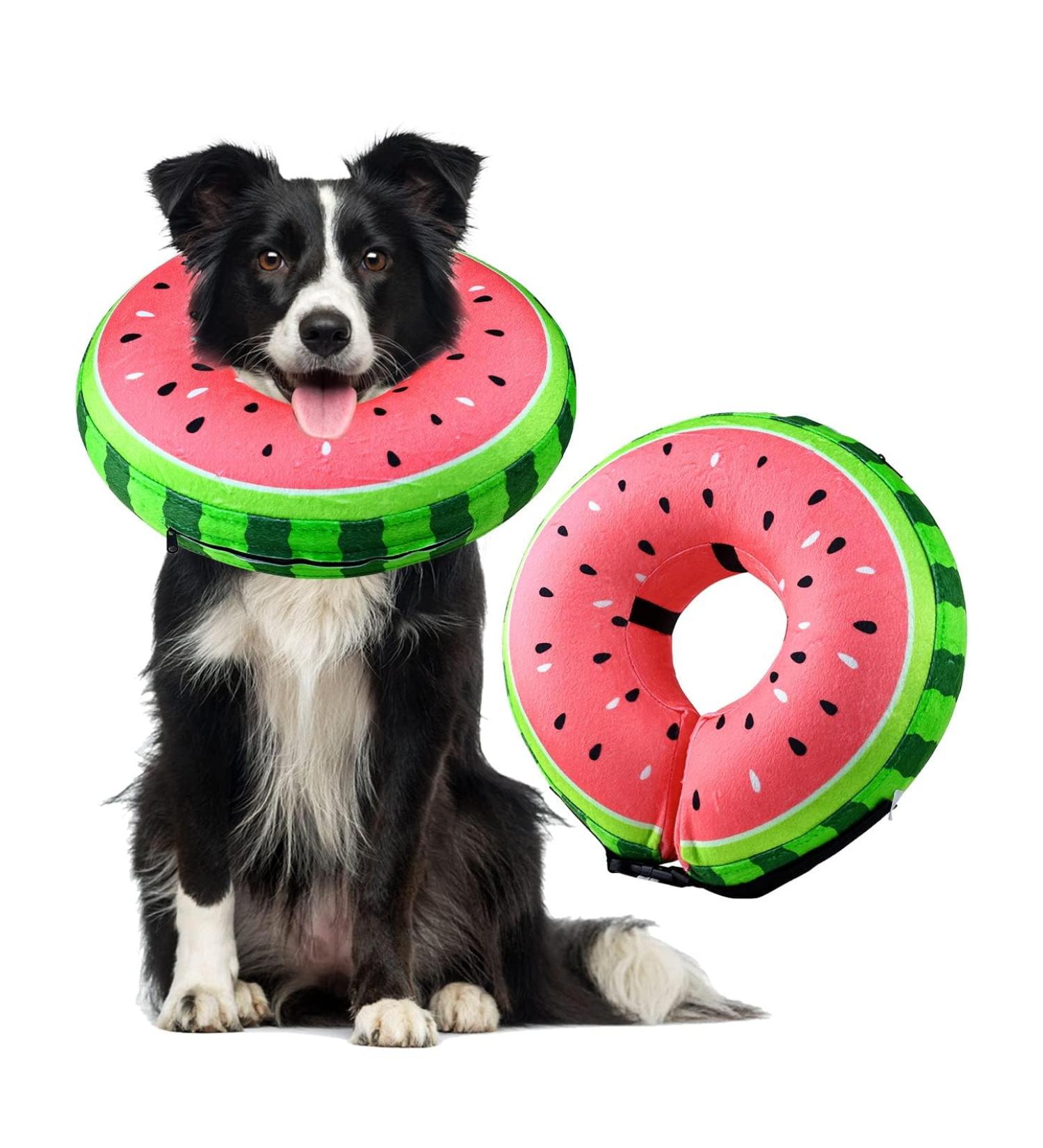 Inflatable Dog Cone Collar | Adjustable Recovery Collar for Dogs & Cats | Soft & Comfortable Dog Donut Collar | Prevents Vision Blockage | Large Size 12-18 Necks - Buy Online on GoSupps.com