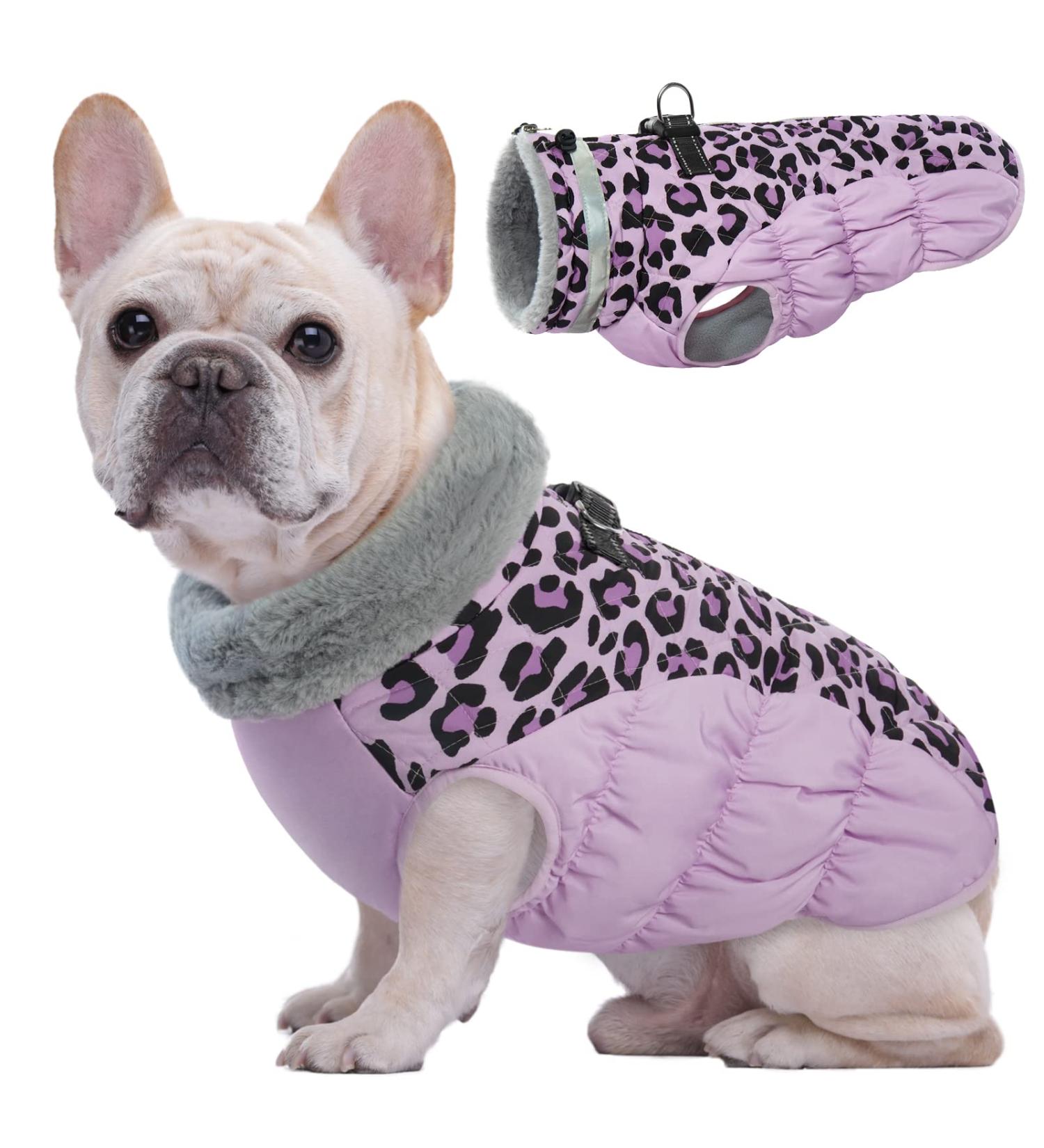 Kuoser Warm Dog Jacket | Reflective Windproof Coat for Small & Large Dogs | Stylish Purple Winter Coat - Buy Online on GoSupps.com
