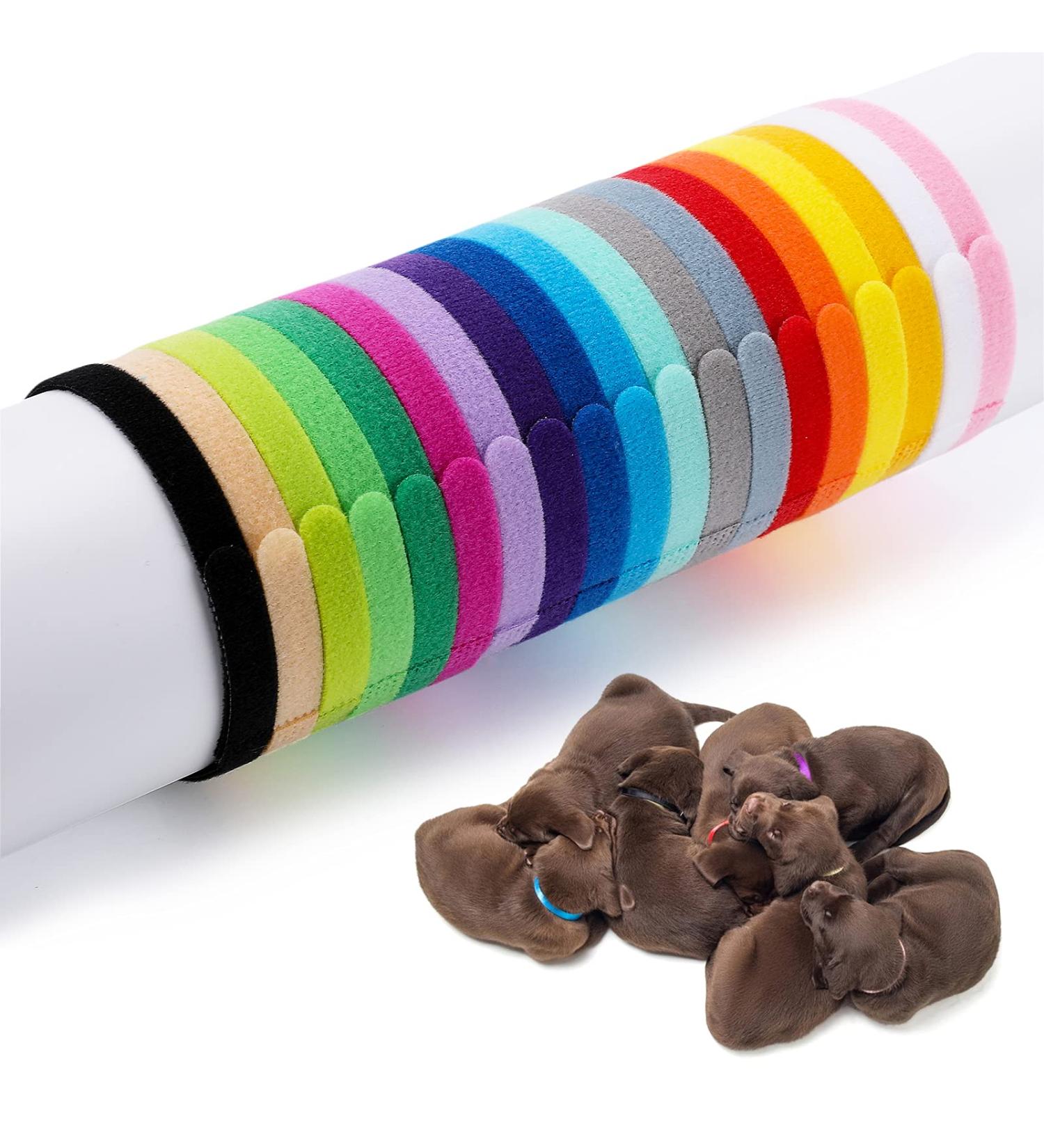 Molain 20 Pack Adjustable Puppy & Kitten Neck Bands - ID Straps for Small Pets | Perfect for Newborns - Buy Online on GoSupps.com