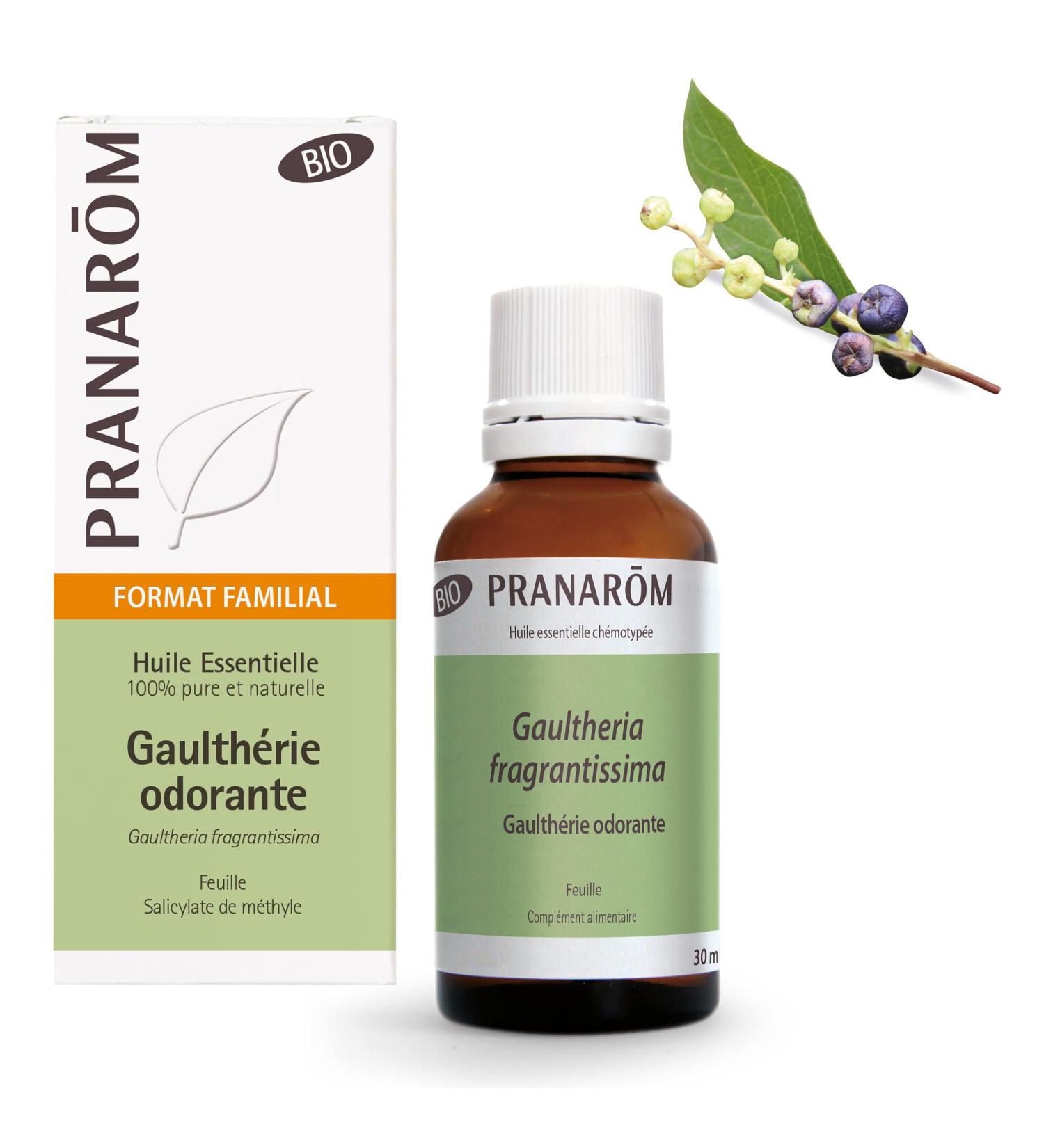 Buy Gaulttheria Oloroso Hoja Bio (ECO) 30 ml - Premium Quality Essential Oil for Aromatherapy | International Shipping Available - Buy Online on GoSupps.com