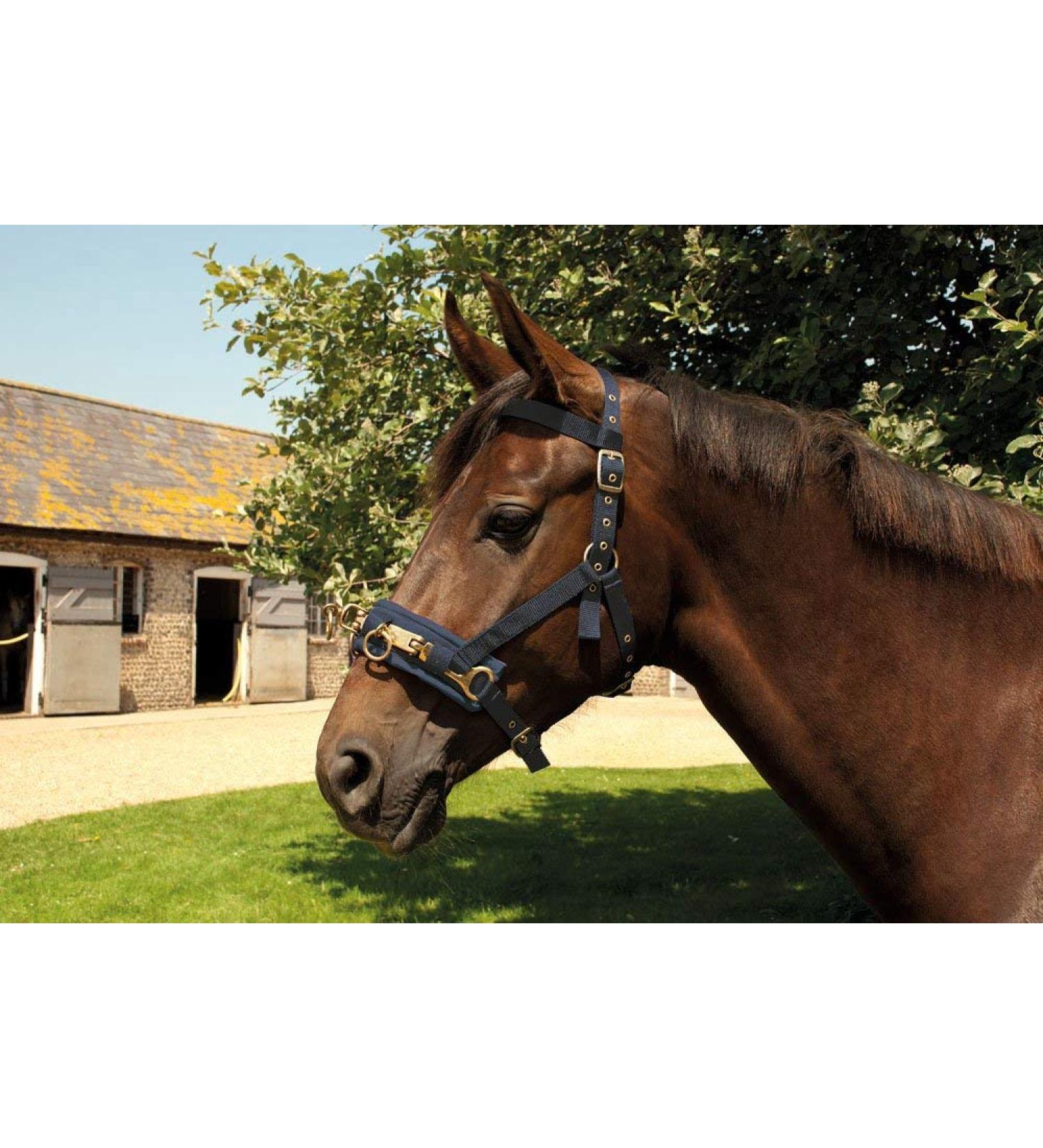 Rhinegold Longe Kapp brine made of nylon pony