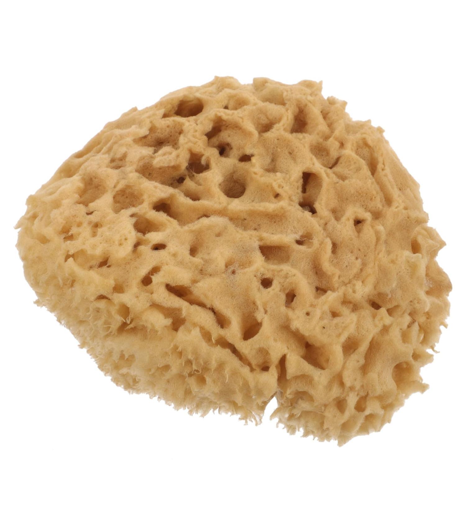 Beavorty Exfoliating Bath Shower Sponge | Honeycomb Body Scrubber for Radiant Skin - International Shipping Available - Buy Online on GoSupps.com