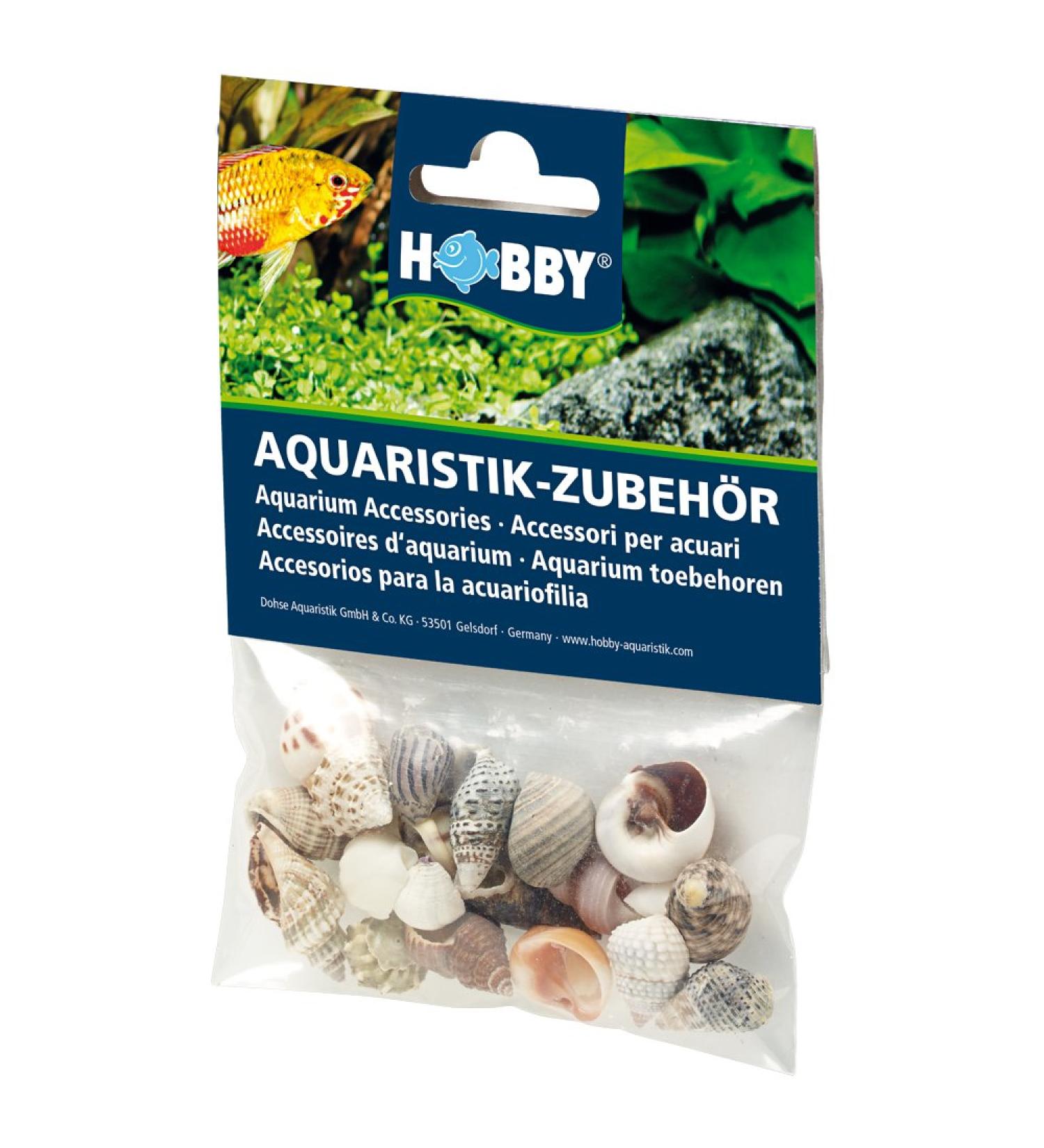Hobby Sea Shells Set S 20 St ck - Buy Online on GoSupps.com