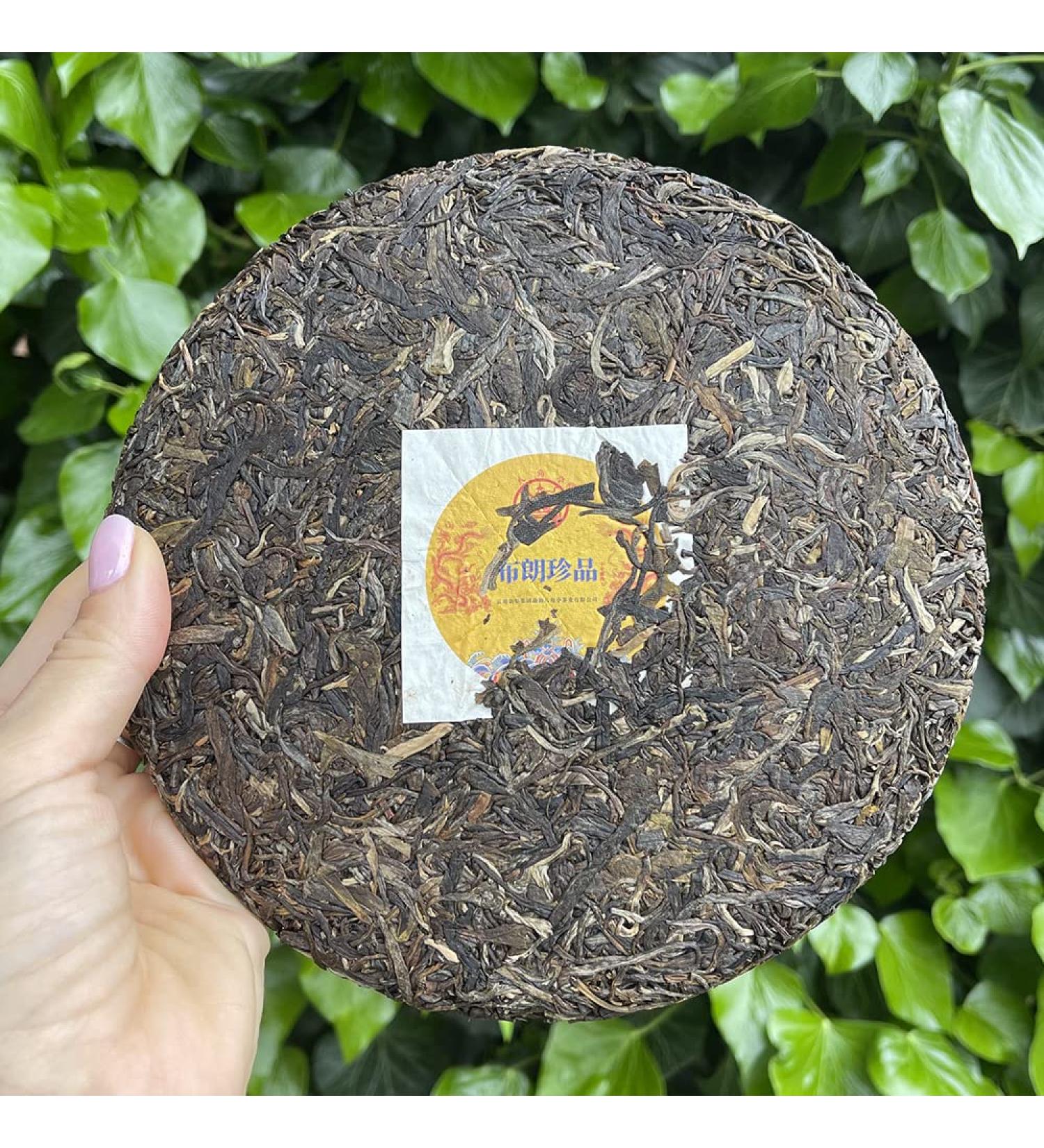 Tea Soul Th Bulang Treasure Puer Sheng (cru) R colte 2020 Paquet de 357 g Th chinois de qualit TEA SOUL - Buy Online on GoSupps.com