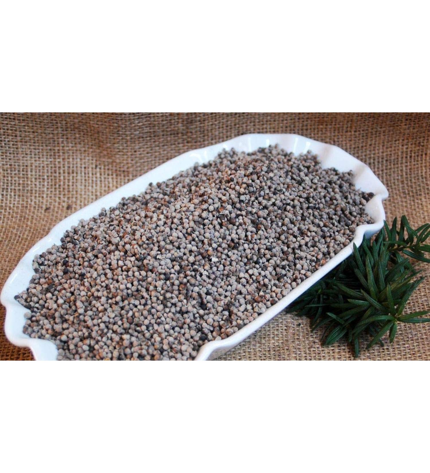 Krauterino24 Krauterino24 - Chason Mud Seeds - Quantity: 100 g