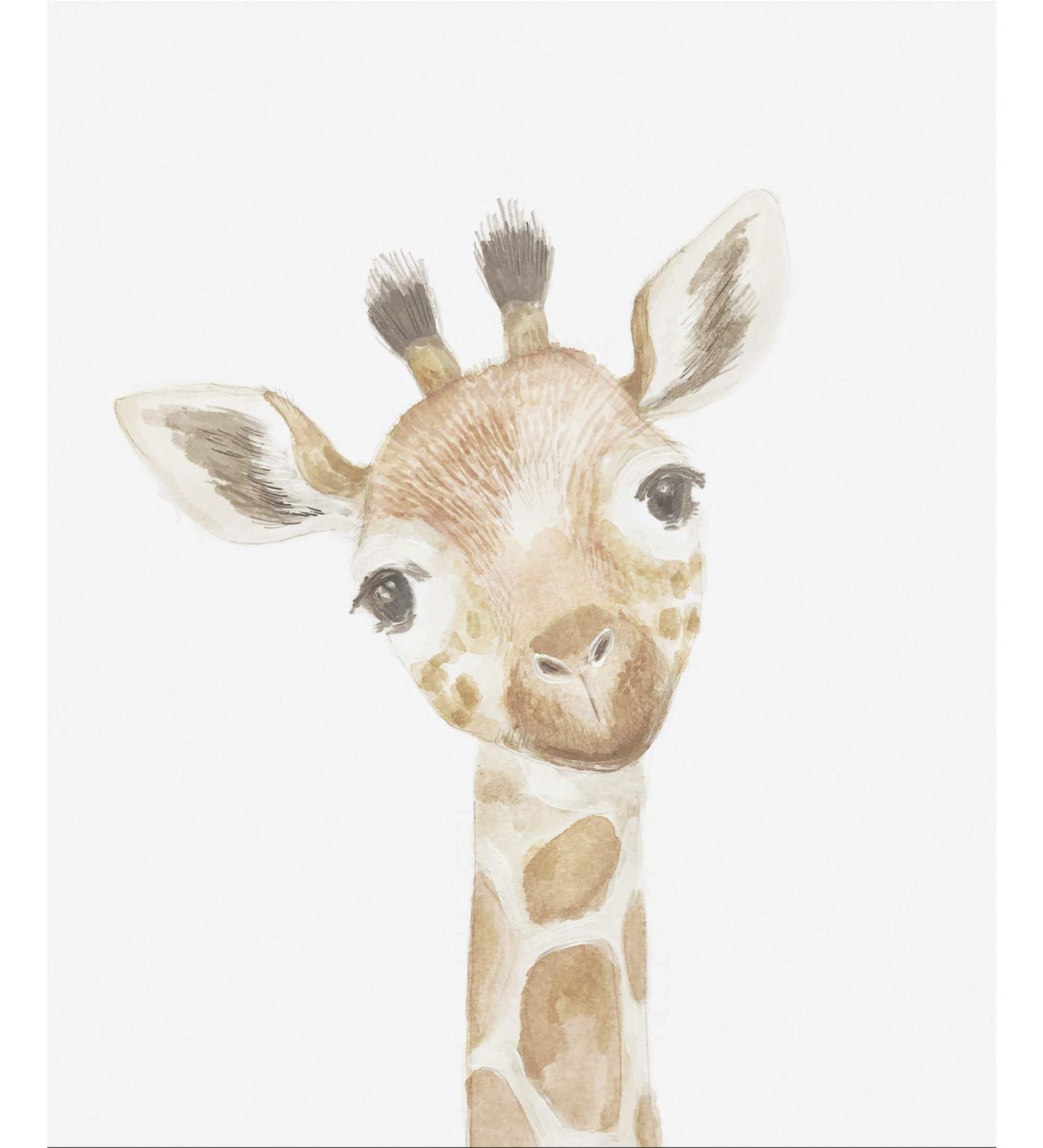 Mamas & Papas Picture Giraffe Welcome to the World Grey Elephant