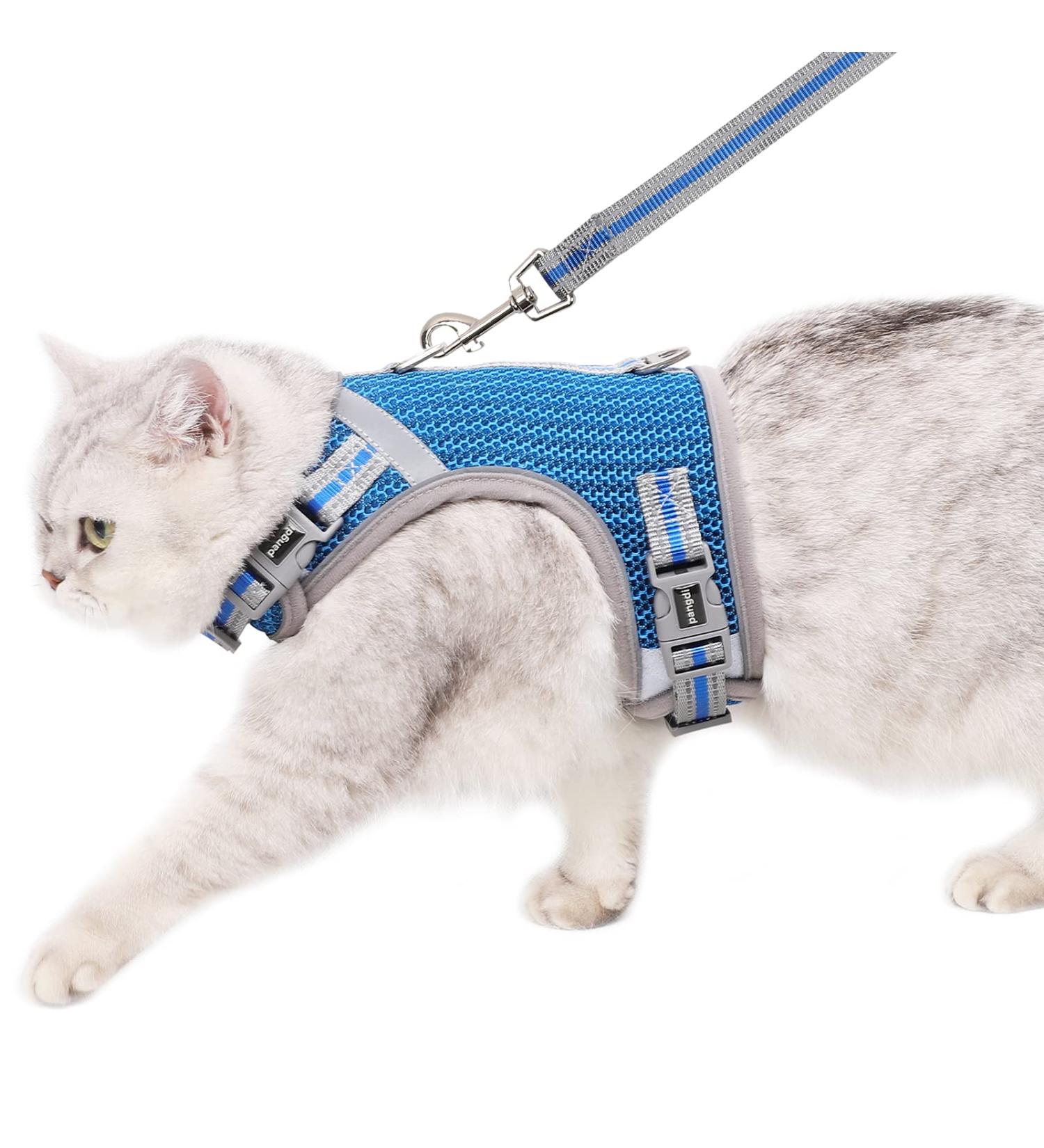 Pangdi Cat Harness and Leash Set - Escape Proof, Adjustable, Reflective - Blue Large - Buy Online on GoSupps.com