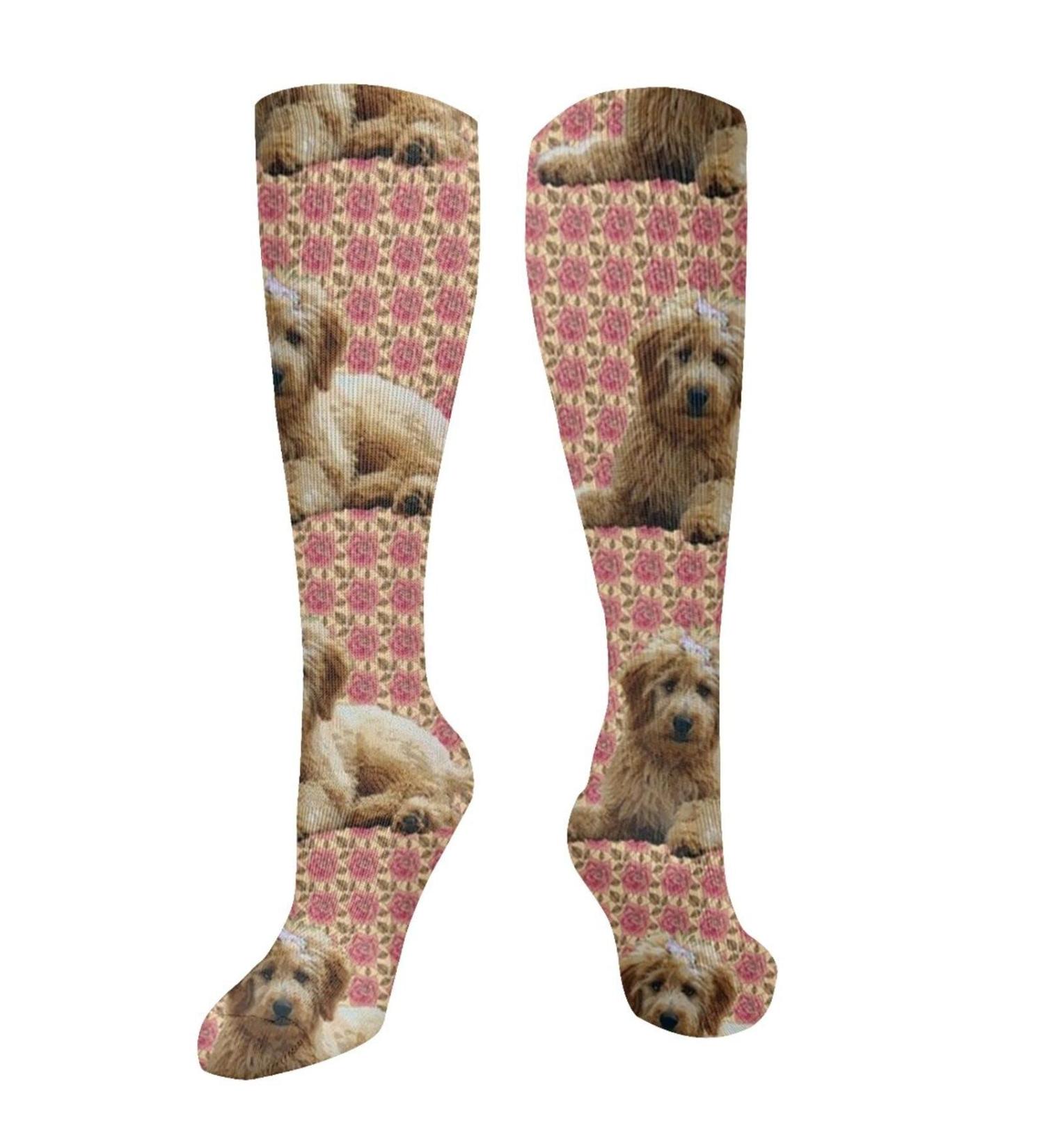 Goldendoodle & Roses Compression Socks for Men & Women | 15-20 mmHg Support for Running & Cycling - Buy Online on GoSupps.com