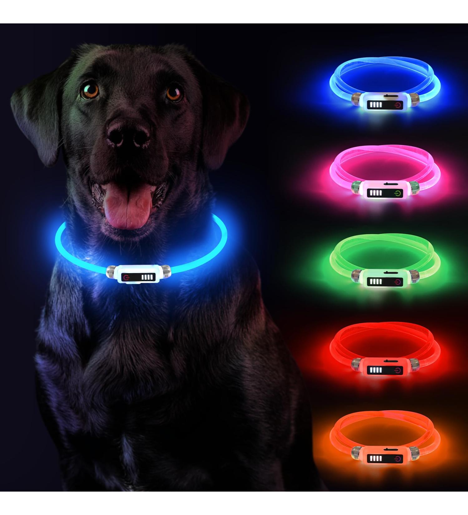 Luminous LED Dog Collar - USB Rechargeable Waterproof Adjustable Length 3 Lighting Modes - Yordawn Blue | Pet Safety Accessories - Buy Online on GoSupps.com