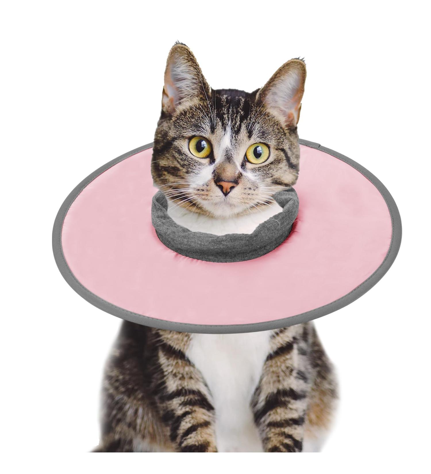 Cat Recovery Collar Vivifying Cat Cone Adjustable Cat Neck Protective Cat Collar Waterproof Elizabethan E Collar for Cats Kittens Puppies after Surgery to Stop Licking Wounds (Pink Size M) - Buy Online on GoSupps.com