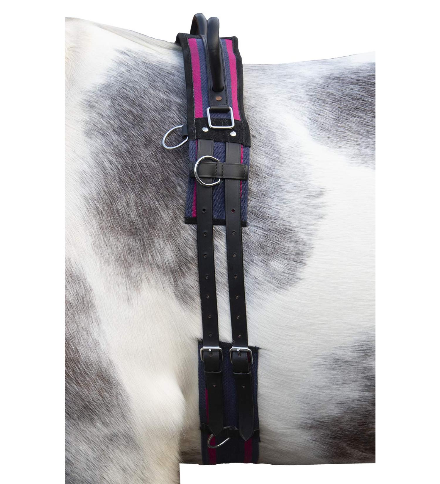 HKM Lunging Girth Canvas with Double Handle for Mini Shetty - Navy/Passion Pink | International Shipping - Buy Online on GoSupps.com