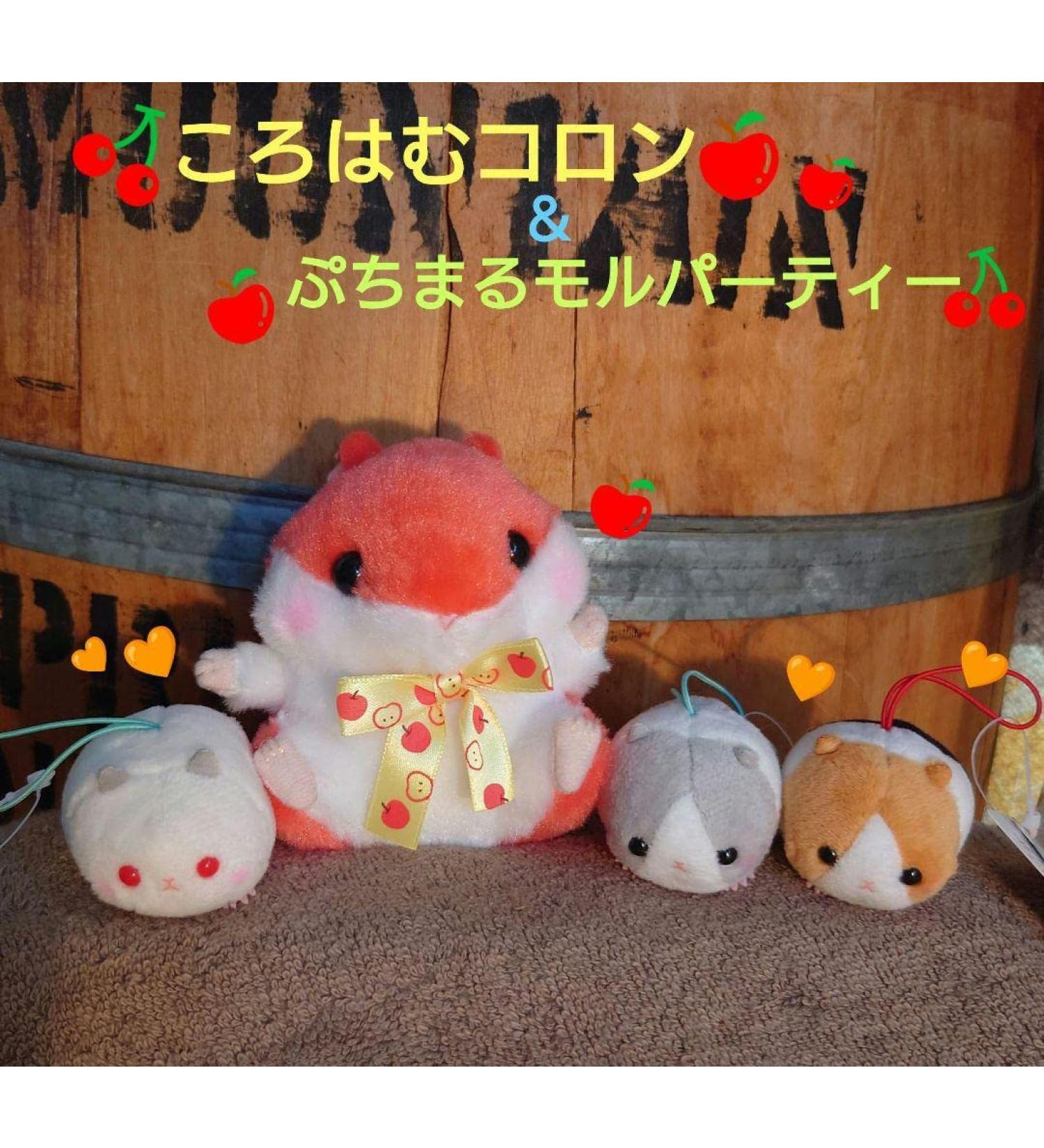 Korohamu Cologne & Puchimaru Mole Party Set - Buy Online on GoSupps.com