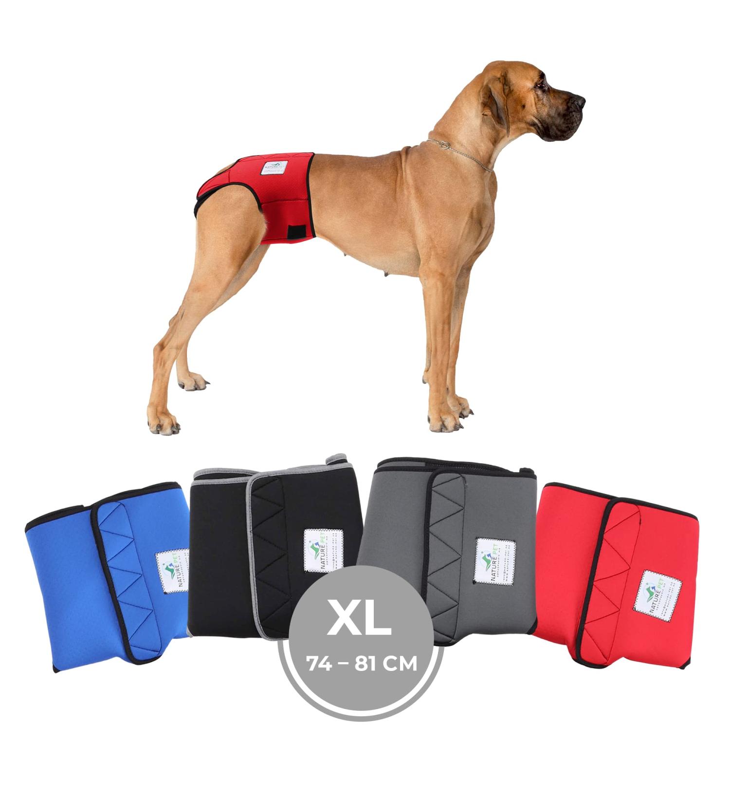 Sailing Trousers for Dogs 2.0 - High-Quality Neoprene Diapers for Male Dogs (XL Red) - Breathable & Comfortable Dog Diapers Without Rod Threading - Buy Online on GoSupps.com