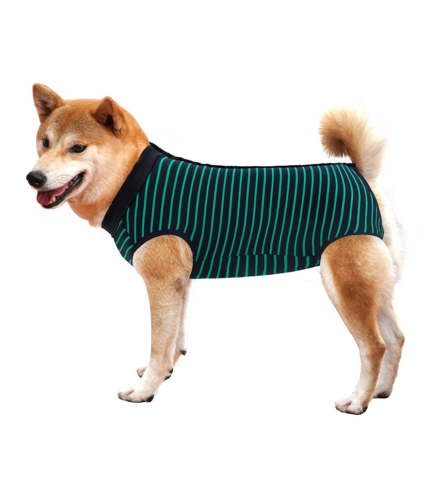 Wound Protective Coat for Dogs & Cats | Abdominal Surgery Vest | Postoperative Medical Clothing for Pets (Size S Green) - Buy Online on GoSupps.com