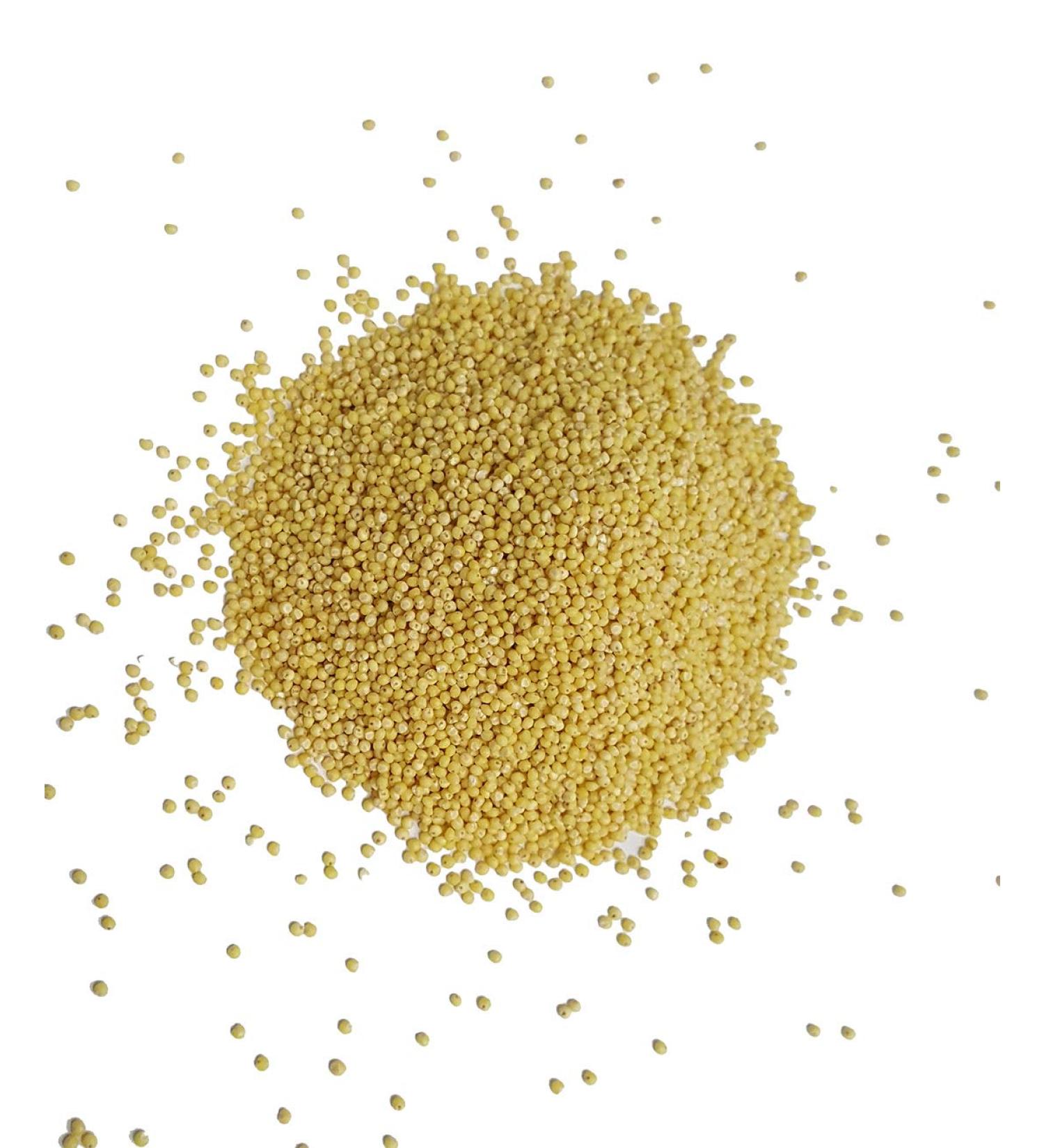 USA Grown Organic Millet Whole Grain Seeds - Non-GMO Hulled Bulk Raw - 5LB Pack - 5 Pound - Buy Online on GoSupps.com