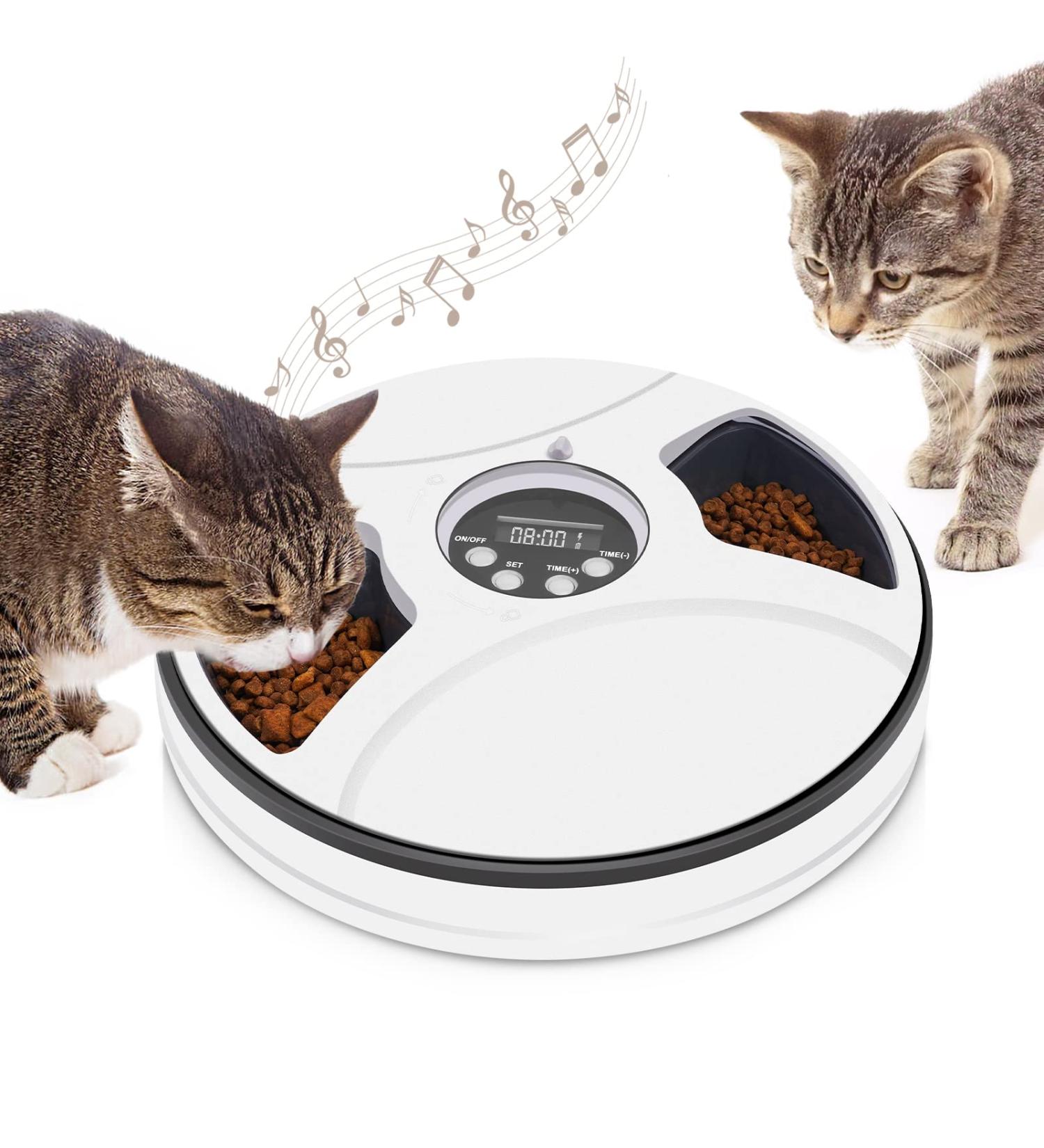 Time release cat food feeder discount