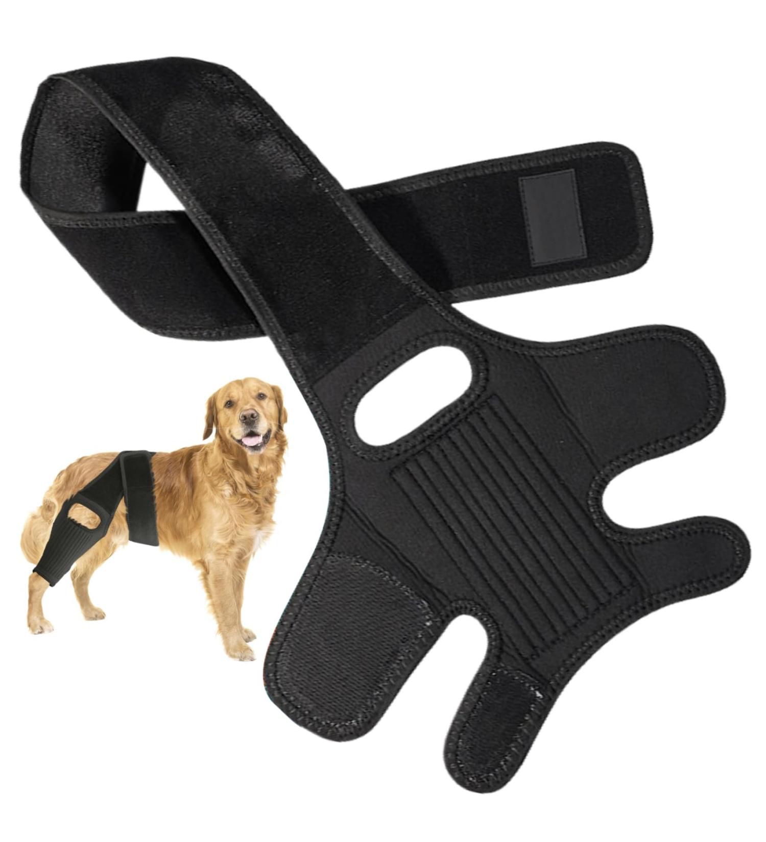 1PC Dog Knee Brace for Torn ACL Hind Leg Adjustable Dog Acl Knee Brace Support for Large and Small Dogs with ACL CCL Cruciate Ligament Injuries for Both Back and Front Legs - Buy Online on GoSupps.com