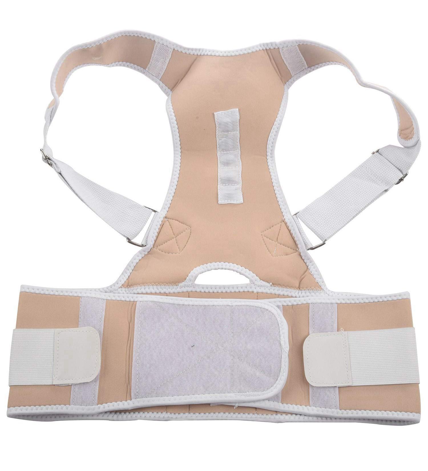 Jalzdieod Orthopedic Back Support Magnetic Posture Corrector-L 243224A2 - Buy Online on GoSupps.com
