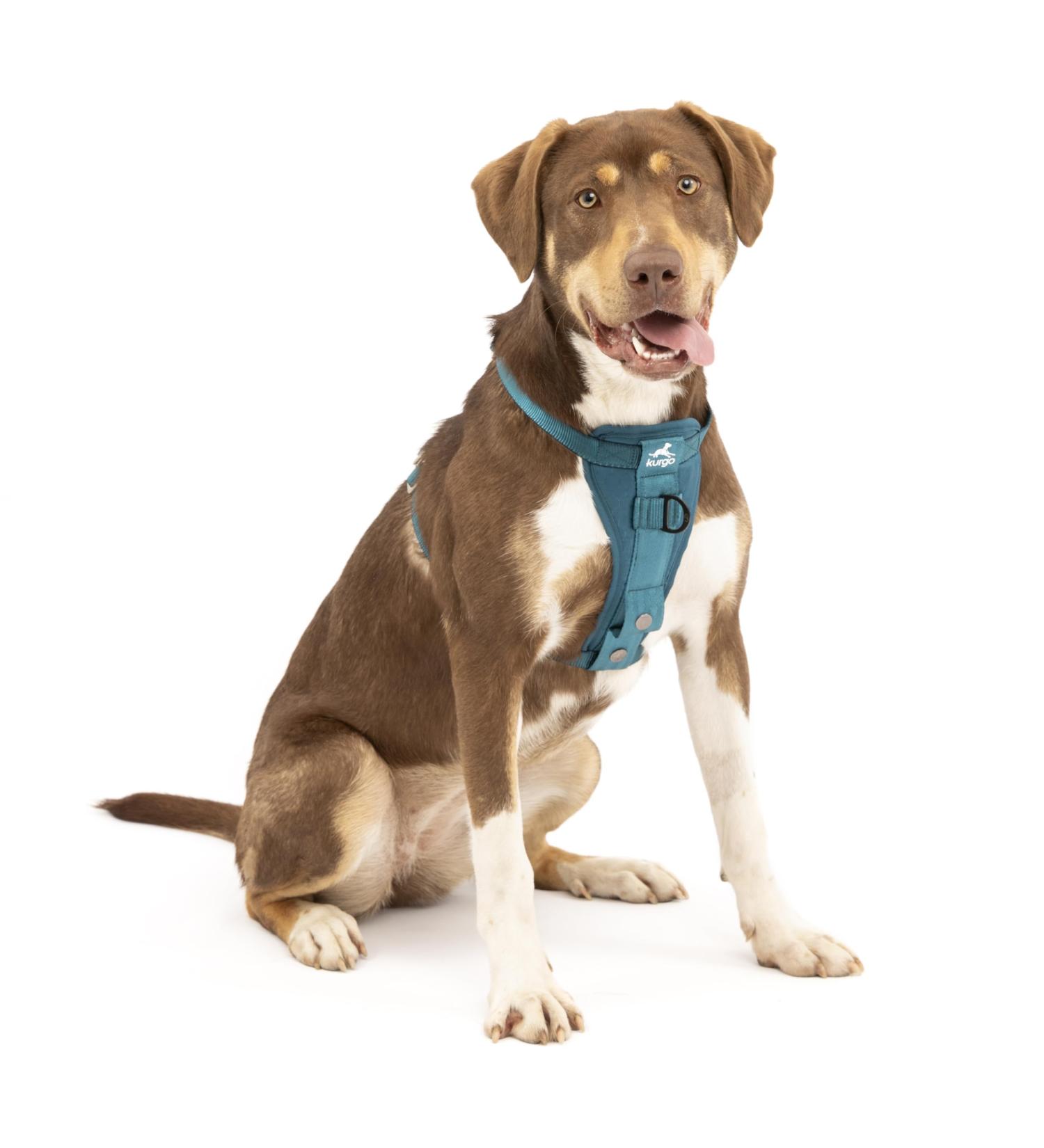 Kurgo Tru-Fit Dog Harness - Crash Tested Car Seat Belt for Dogs 2-5 kg | Size M | Ink Blue - Buy Online on GoSupps.com