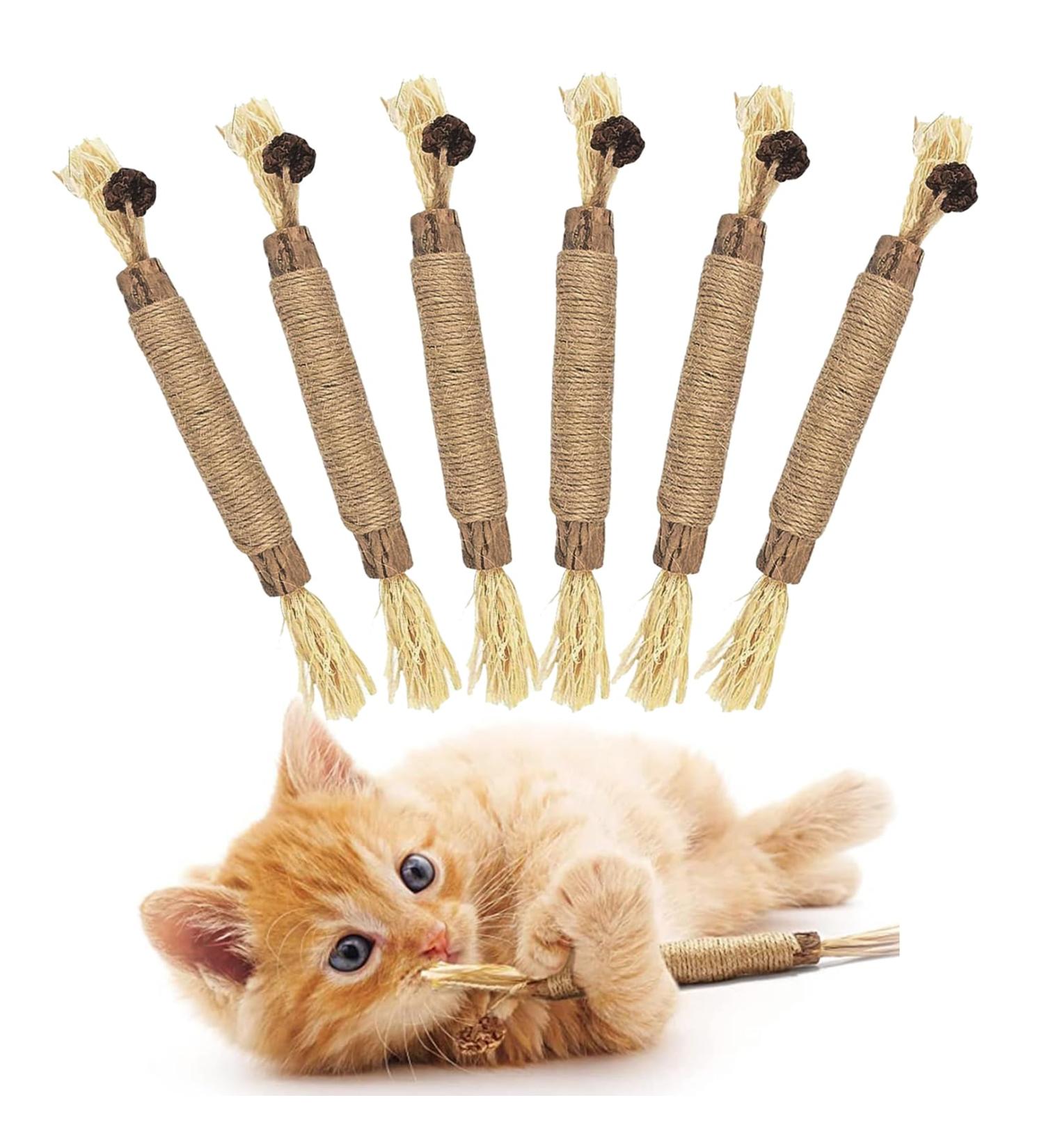 6 Pcs Chew Sticks Cat Toys Cat Teeth Nip Cleaning Chewy Catnip Toys Teeth Grinding Chew toys Natural Kitten Teething Toys Cat Dental Sticks for Indoor Cats Kitty Teeth Cleaning and Stress Release - Buy Online on GoSupps.com