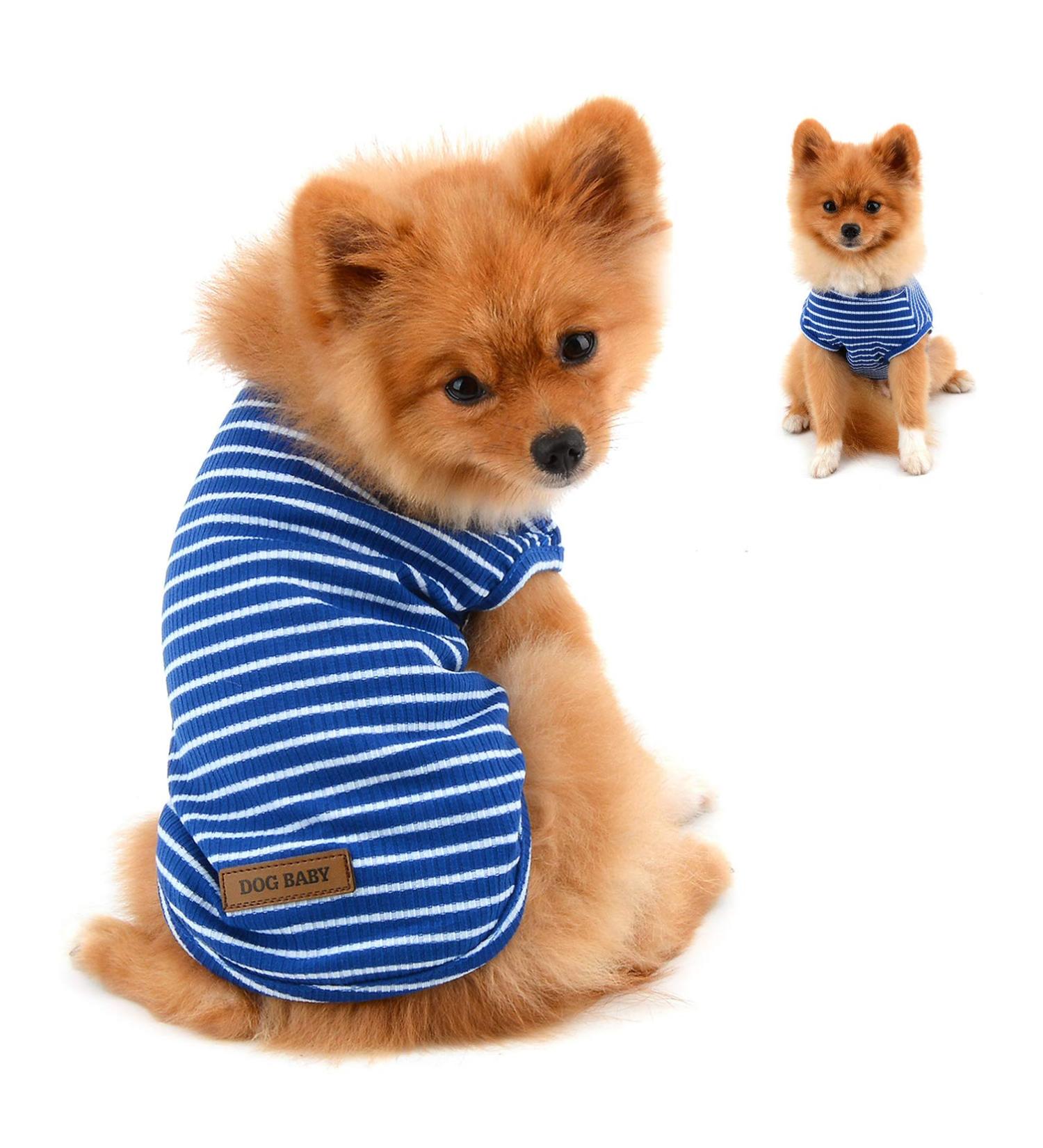 Shop Paidful 100% Cotton Summer Striped T-Shirt for Small Dogs - Blue Welpe Tee for Chihuahua & Yorkshire | Sizes M (Back Length 25cm Bust 37cm) - Buy Online on GoSupps.com