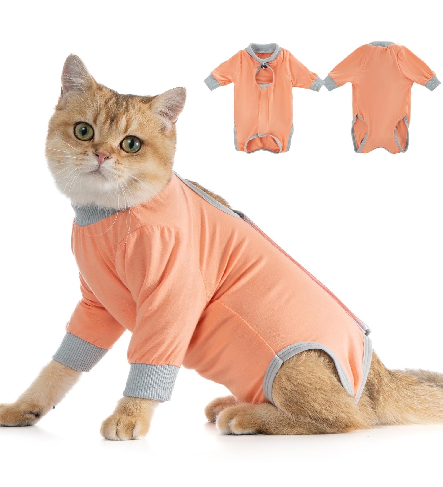AVONT Cat Recovery Suit - Protective Alternative Surgical Spay Suit for Female Cats Gray Coral L - Ideal for Post-Operative Care & Skin Diseases - Buy Online on GoSupps.com