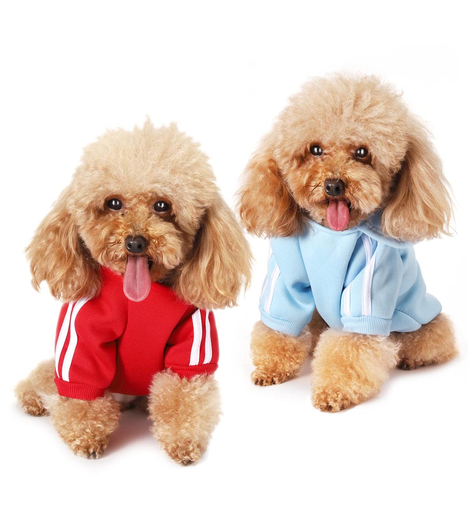 Shop Stylish Chihuahua Clothes | Warm Hoodies & Sweaters for Small Dogs - XS Light Blue & Red - Buy Online on GoSupps.com