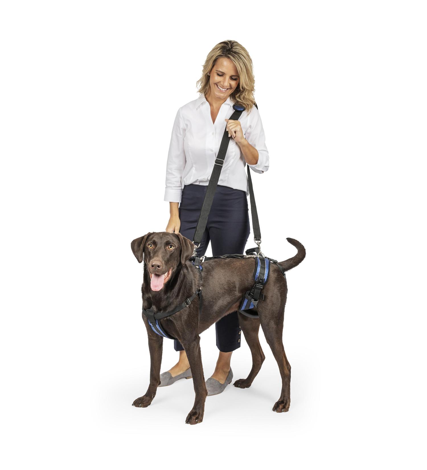 PetSafe CareLift Lifting Harness for Dogs - Size M | Support & Mobility Aid for Easy Lifting In and Out - Buy Online on GoSupps.com