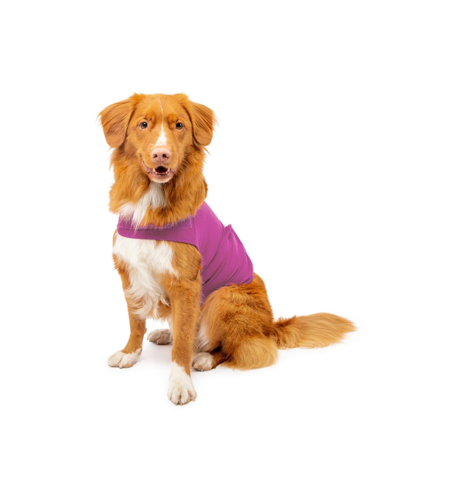 Mellow Shirt Dog Anxiety Calming Wrap - Medium (26-40 lb) Radiant Orchid - Buy Online on GoSupps.com