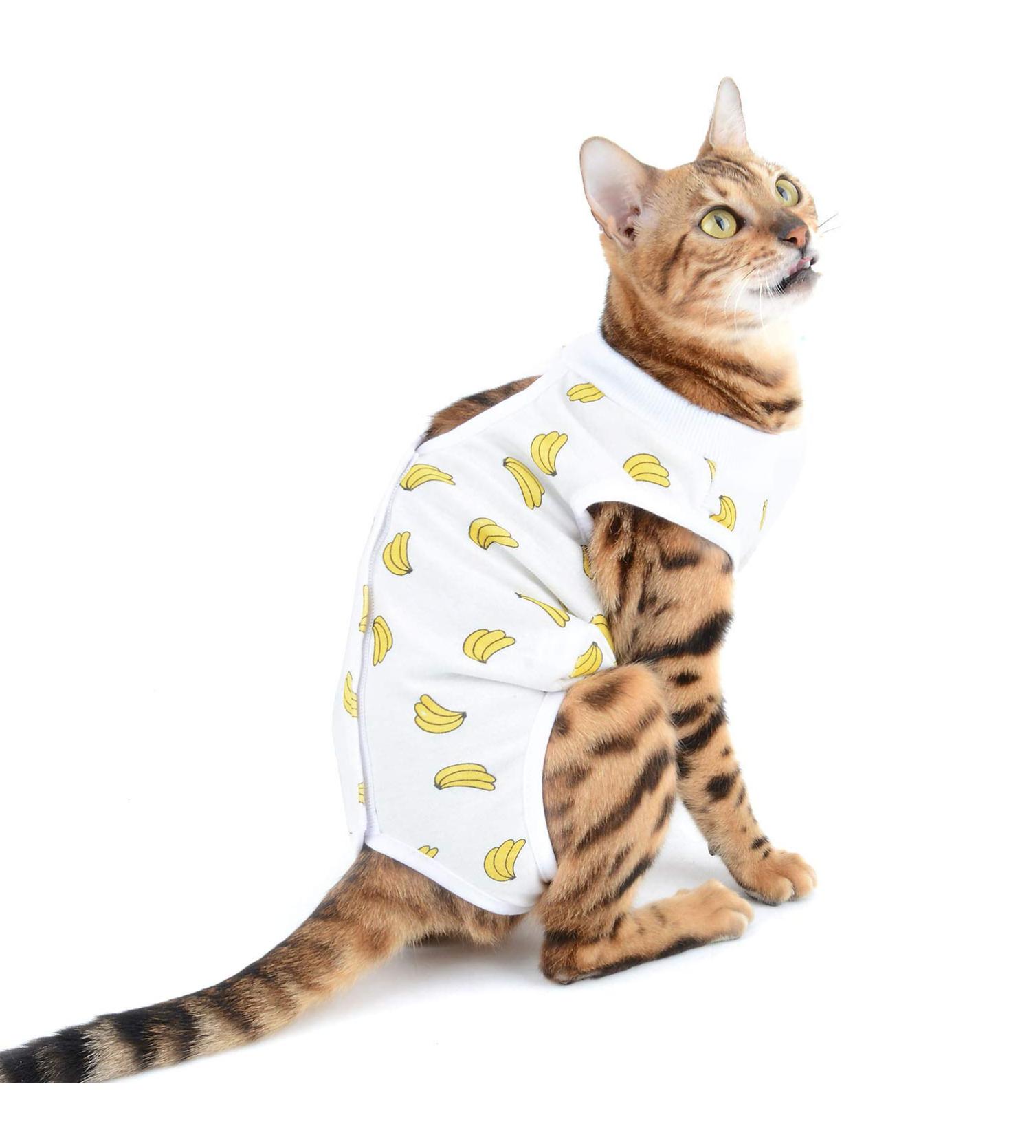Selmai Medical Pet Shirt - Soft Cotton E-Collar Alternative for Dogs & Cats | Post-Op Wound Protection & Nursing Clothing - Yellow XL - Buy Online on GoSupps.com