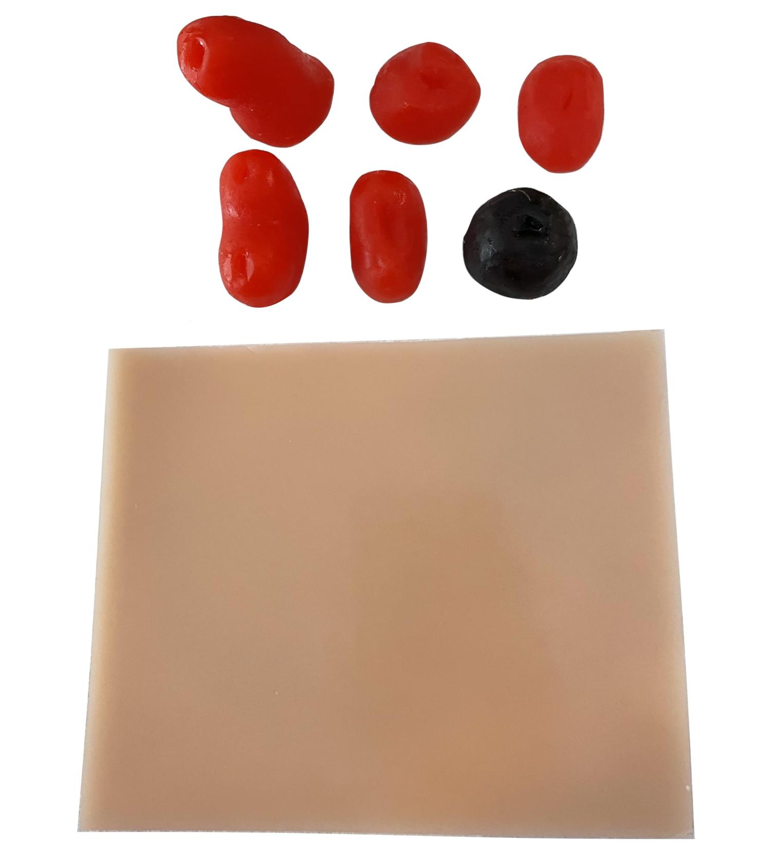 Silicone Stoma Model Set - 6 Stomas for Ostomy Care Practice & Simulation | International Shipping - Buy Online on GoSupps.com