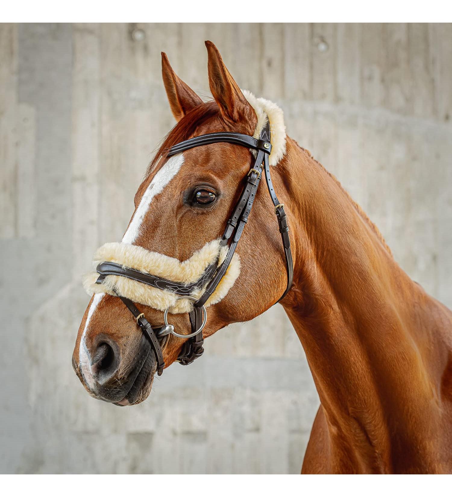 SUNRIDE Swedish Bridle Oxford with Reins - Soft Genuine Leather & Fur Adjustable Anatomical Design (Full Brown) - International Shipping Available - Buy Online on GoSupps.com