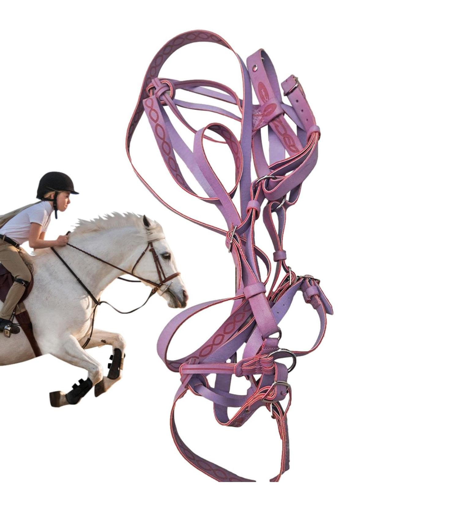 Adjustable Horse Halter | Heavy Duty Chin and Throat Snap Halter Horse - Comfortable Padded Nylon Horse Halter for Training Equestrian Grooming Lambo Purple - Buy Online on GoSupps.com