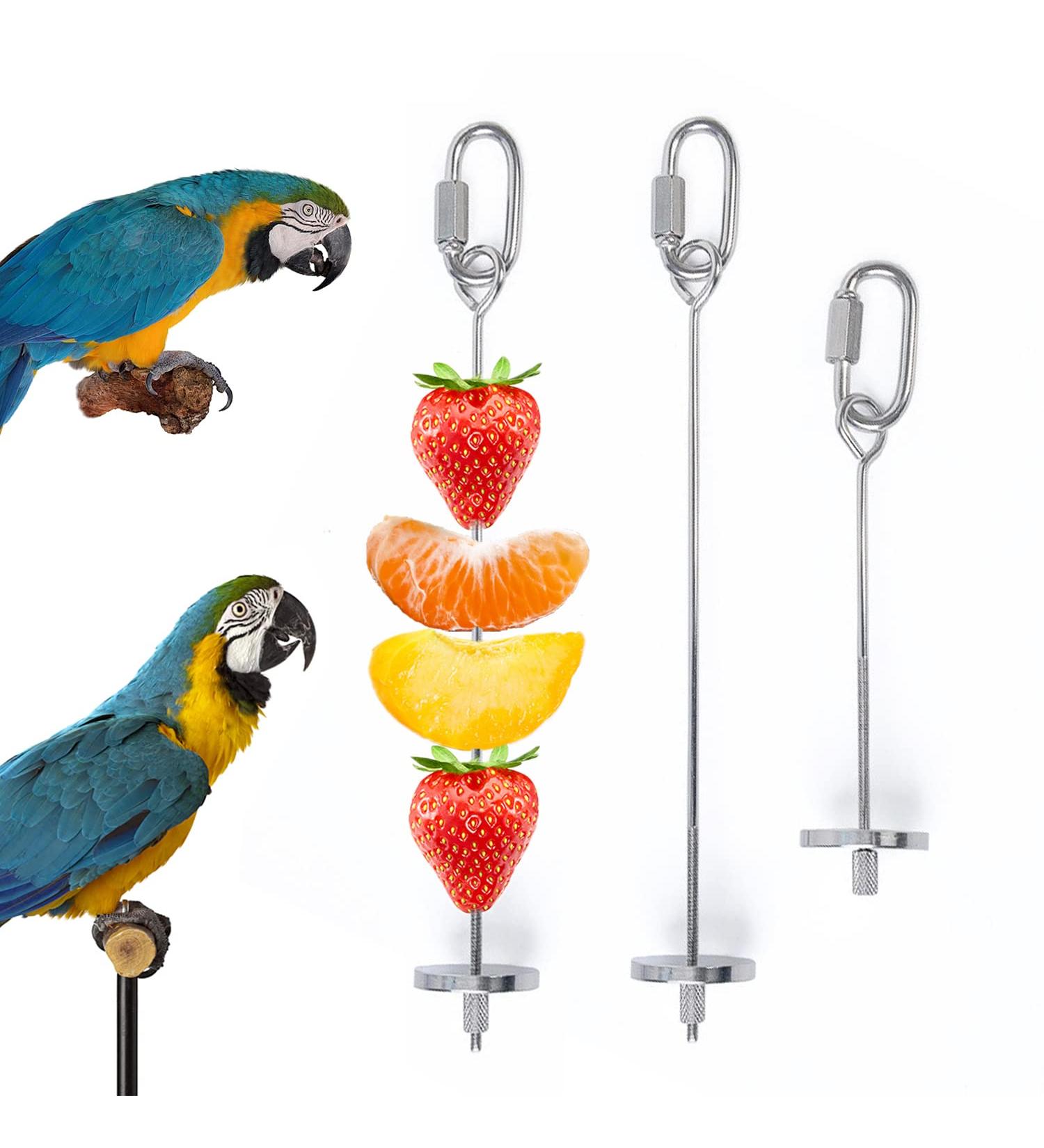 iTGOOS 2Pcs Parrot Skewer Feeder Stainless Steel Parrot Fruit Stick Holder Bird Food Holder Birds Foraging Toy for Parrots Cockatoo Cockatiel Cage - Buy Online on GoSupps.com