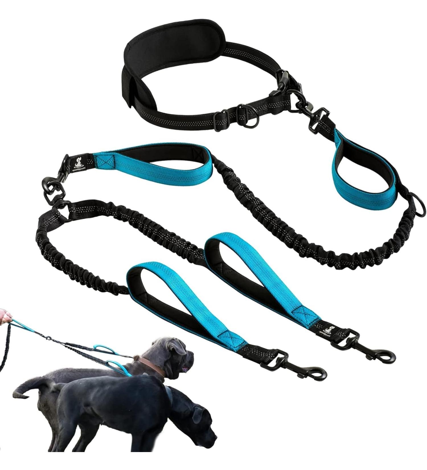 KAYTOW Hands Free Double Dog Leash Dual Dog Leash for Medium and Large Dogs Dog Leash for 2 Dogs with Padded Handles Reflective Stitches No Pull Tangle Free (Blue for 2 Dogs) - Buy Online on GoSupps.com