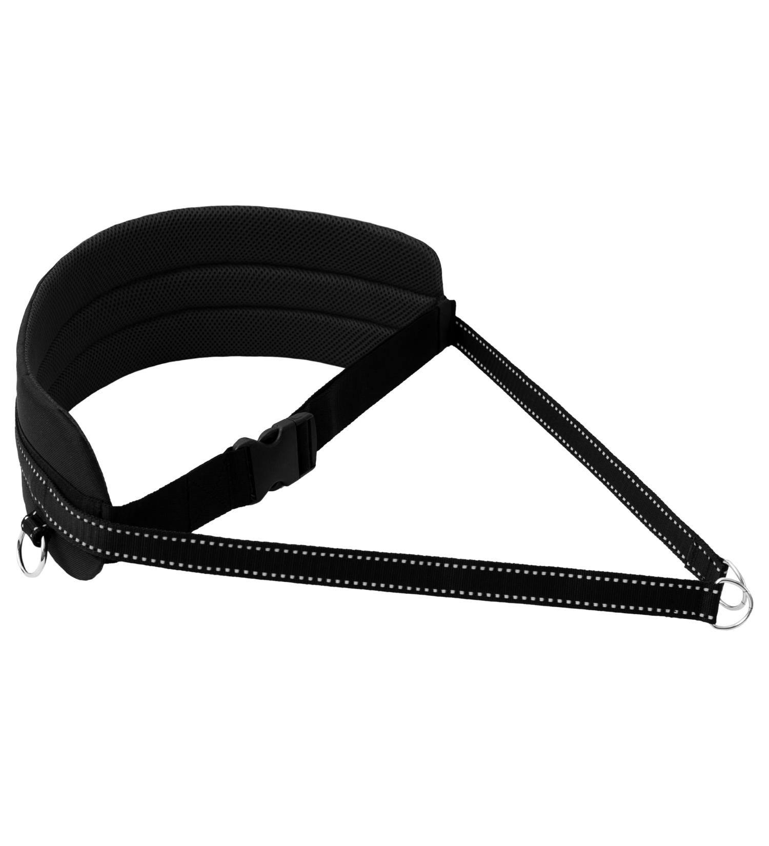LASALINE Belly Belt for Dog Leash - Perfect for Canicross Dogtrekking & Ski-J ring | Ideal Dog Sports Gear in Black - Buy Online on GoSupps.com