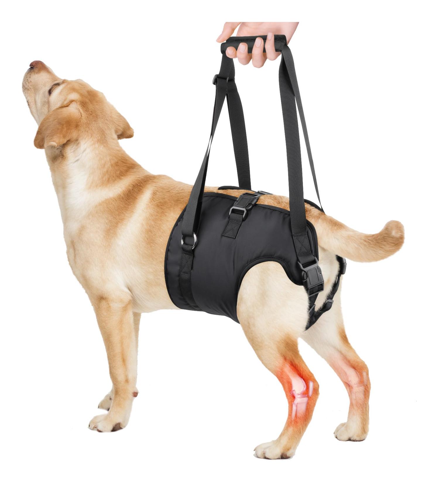 PZRLit Dog Lift Harness - Adjustable Mobility Aid Sling for Large Dogs' Hind Legs Perfect for Elderly and Disabled Dogs - Hip & Back Leg Support Vest for Walking Assistance Large - Buy Online on GoSupps.com