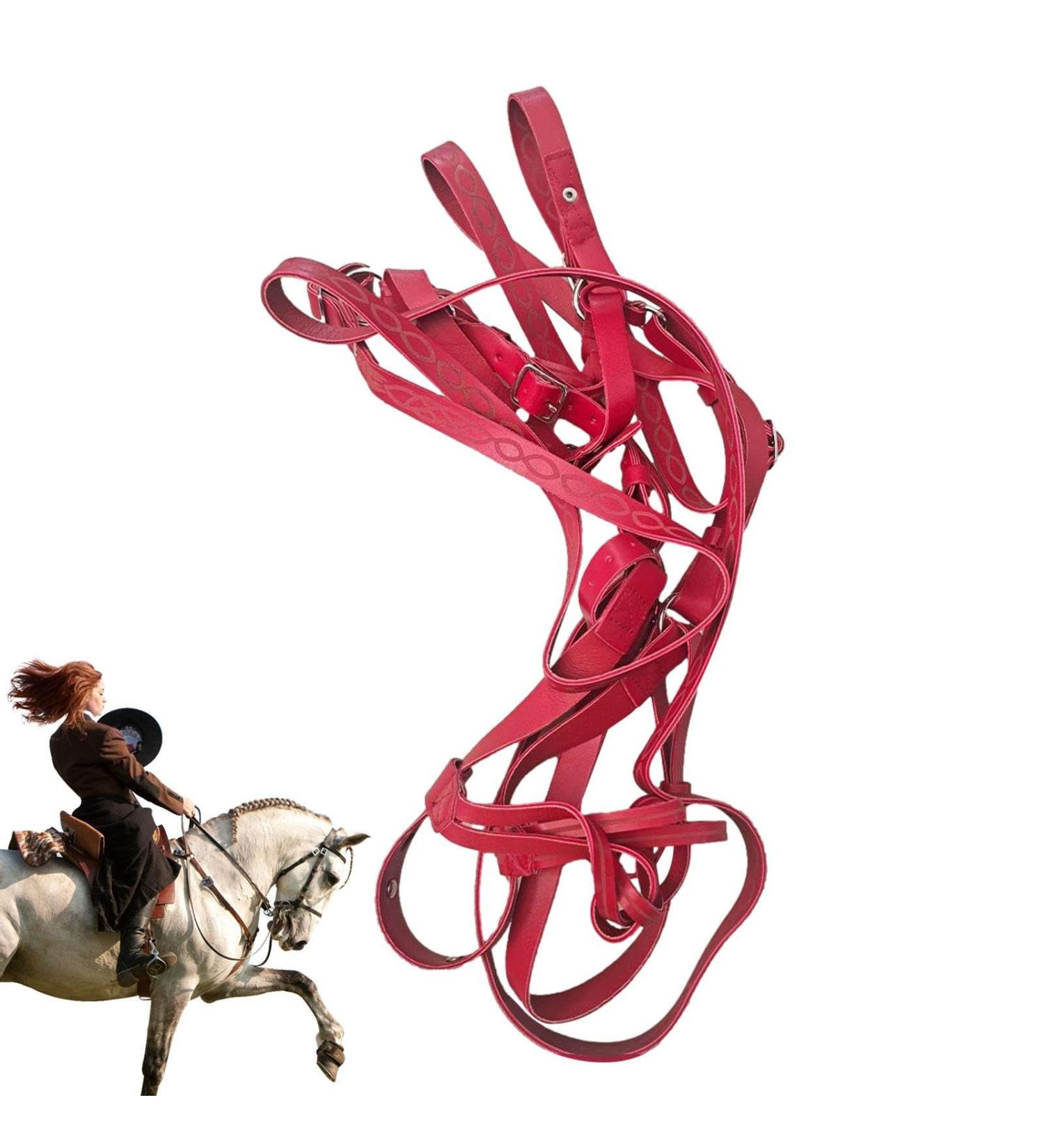 Halter for Horse | Safety Halter Chin & Throat Snap Heavy Duty Tied Halter | Comfortable Padded Nylon Horse Halter for Training Equestrian Grooming Rowces Red - Buy Online on GoSupps.com