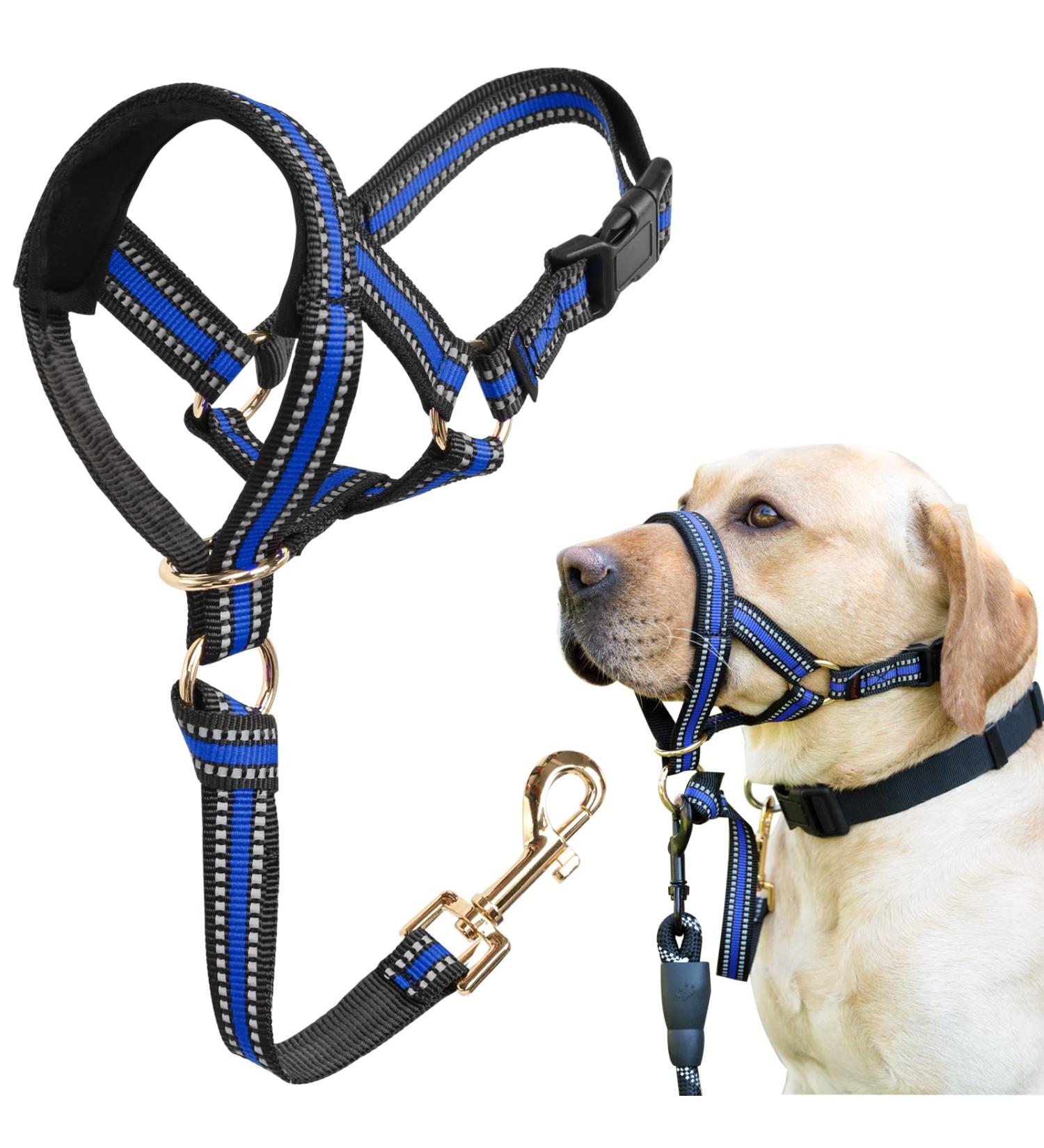Shop Stylish Barkeless Muzzle Blade - No Pulling Halter for Medium & Large Aggressive Dogs | Adjustable Gentle Harness in Blue - Buy Online on GoSupps.com