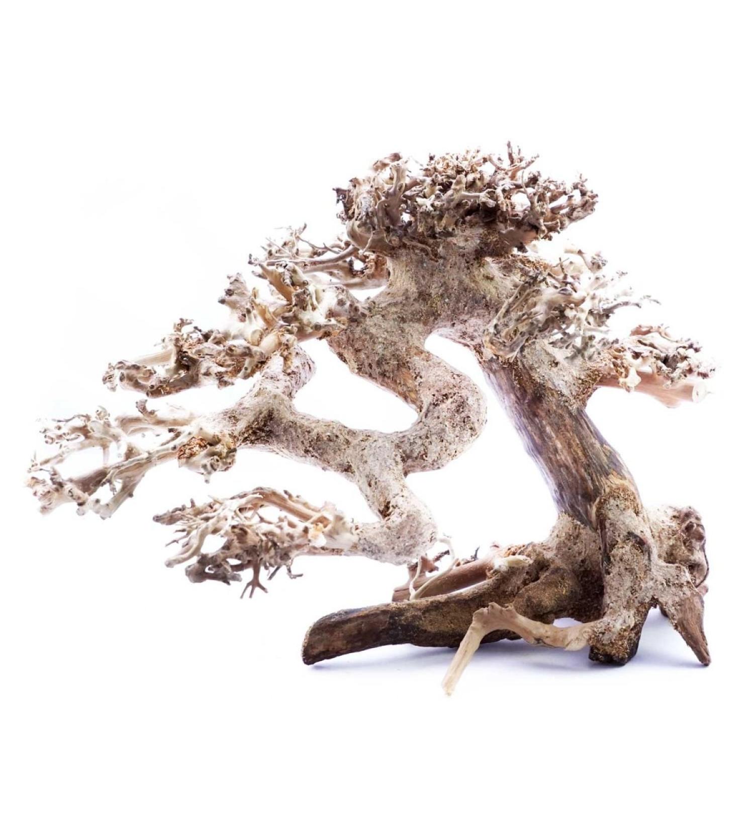 Superfish Natural Wood Bonsai Driftwood Small 23x12x15 - Buy Online on GoSupps.com