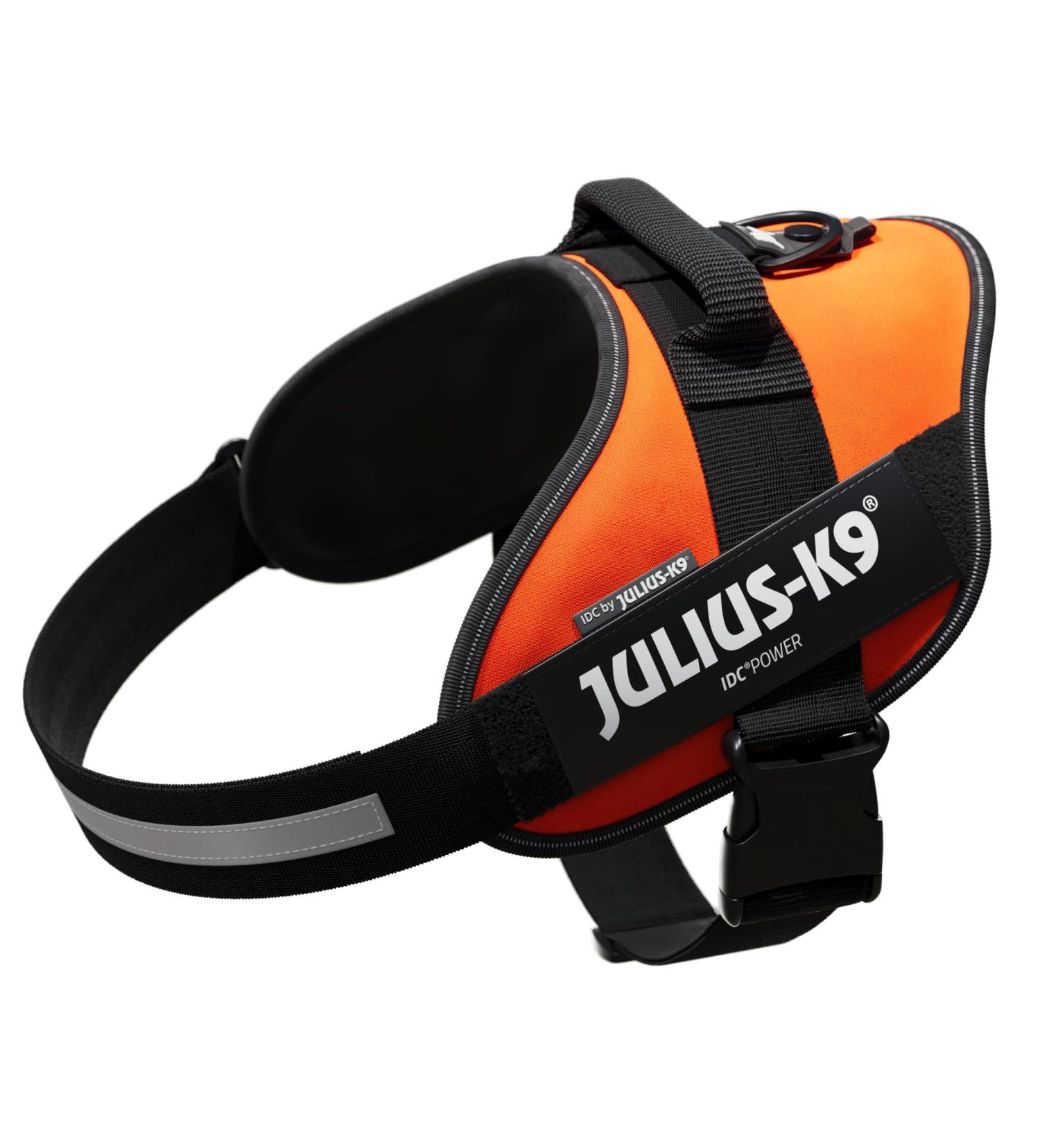 Buy IDC Powerharness XL/2 - UV Orange | Durable & Comfortable Dog Harness for International Shipping - Buy Online on GoSupps.com