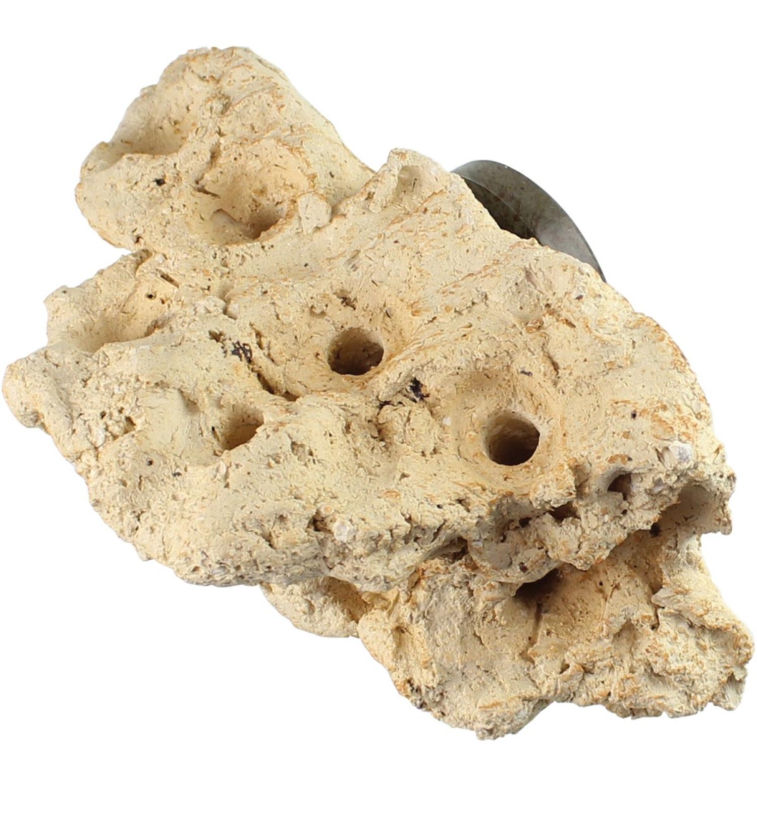 Tunze Coral Rack nano - Buy Online on GoSupps.com