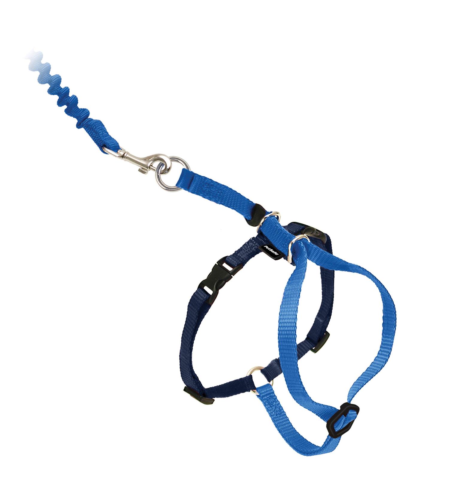 PetSafe Come With Me Kitty Harness & Bungee Leash - Large Royal Blue/Navy | Best Cat Harness for International Shipping - Buy Online on GoSupps.com