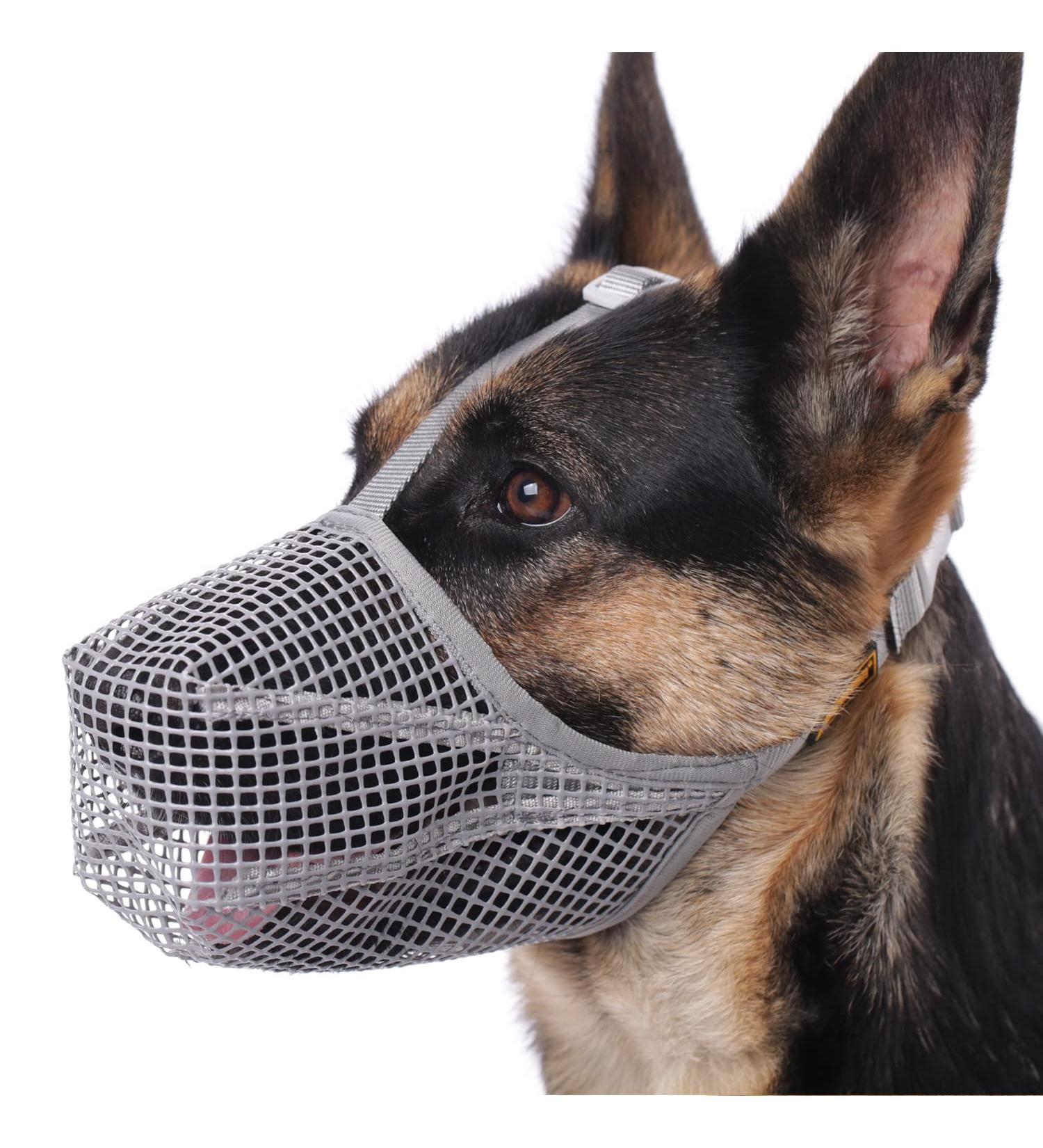 Premium Dog Muzzle - Soft Cover for All Sizes Bite & Chew Protection | Adjustable Straps Poisoned Bait Defense - Buy Online on GoSupps.com