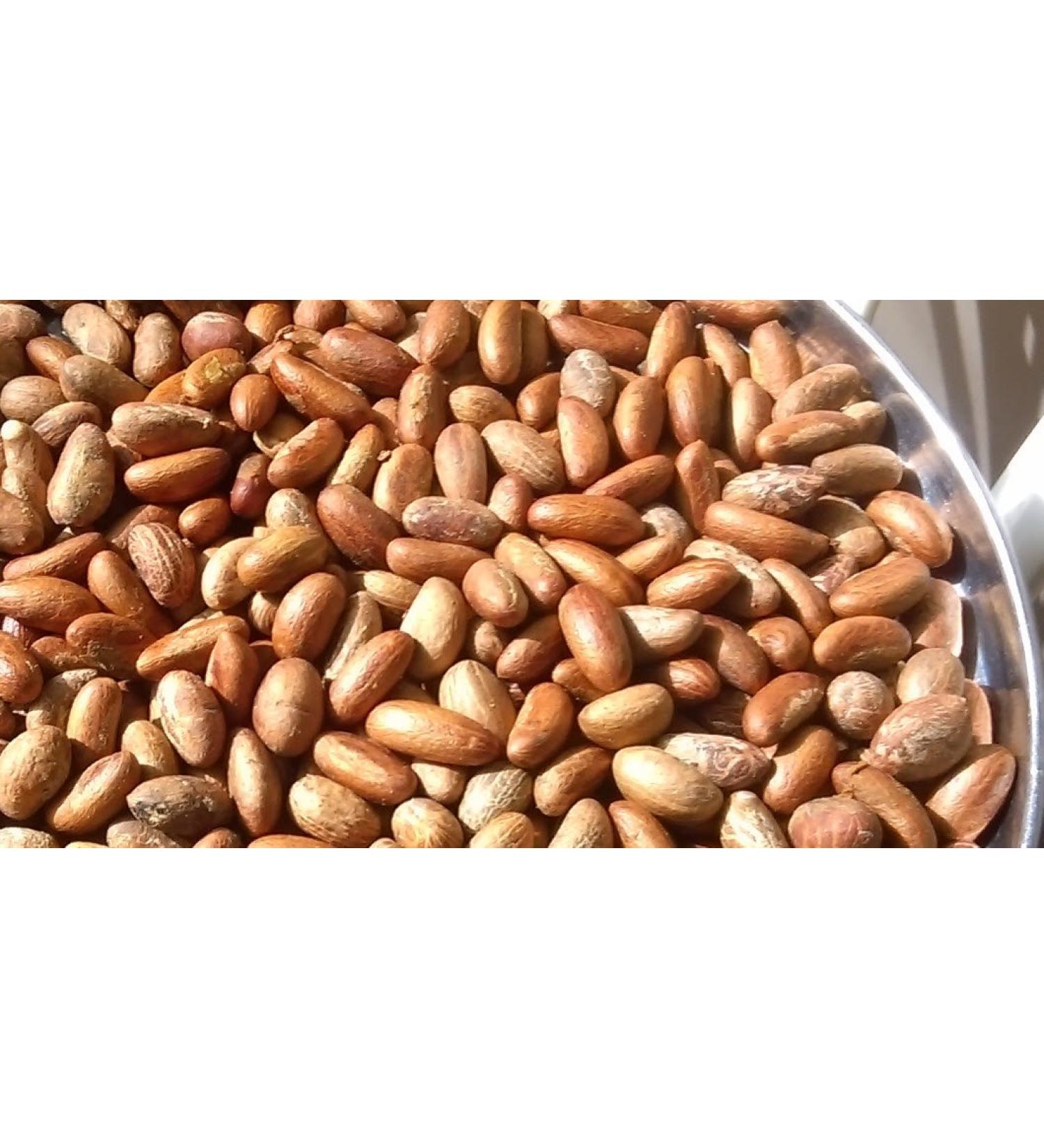 Bitter Kola Fresh Garcinia Kola Approx 400g - Buy Online on GoSupps.com